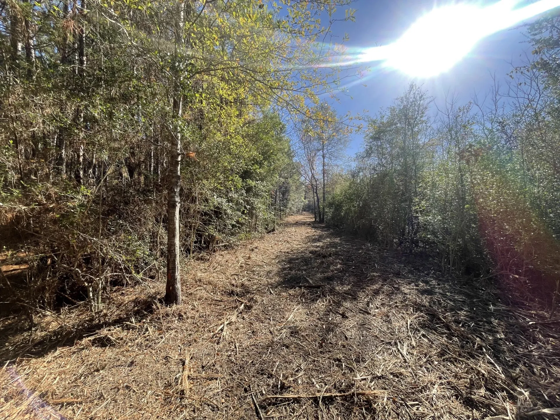 Ranch For Sale in Polk County , Lot 5 E FM 942, Corrigan, Texas 75934, 0, 0, Garage spaces, 0 Sqft, built in 0, Price $141,900, mls#21196496, Real Estate Agent in Corrigan, Homes For Sale in Polk county, Homes For Sale in Corrigan, Realtor in Corrigan Texas, Real Estate Brokerage Independent Realty Texas, Luminita Cordes Realtor