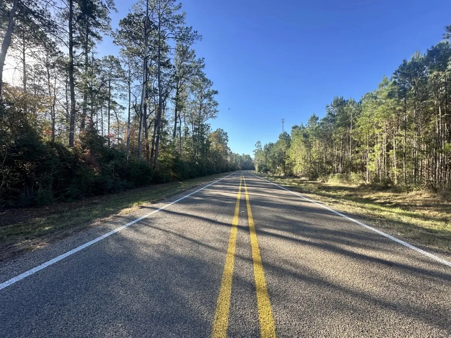 Ranch For Sale in Polk County , Lot 5 E FM 942, Corrigan, Texas 75934, 0, 0, Garage spaces, 0 Sqft, built in 0, Price $141,900, mls#21196496, Real Estate Agent in Corrigan, Homes For Sale in Polk county, Homes For Sale in Corrigan, Realtor in Corrigan Texas, Real Estate Brokerage Independent Realty Texas, Luminita Cordes Realtor