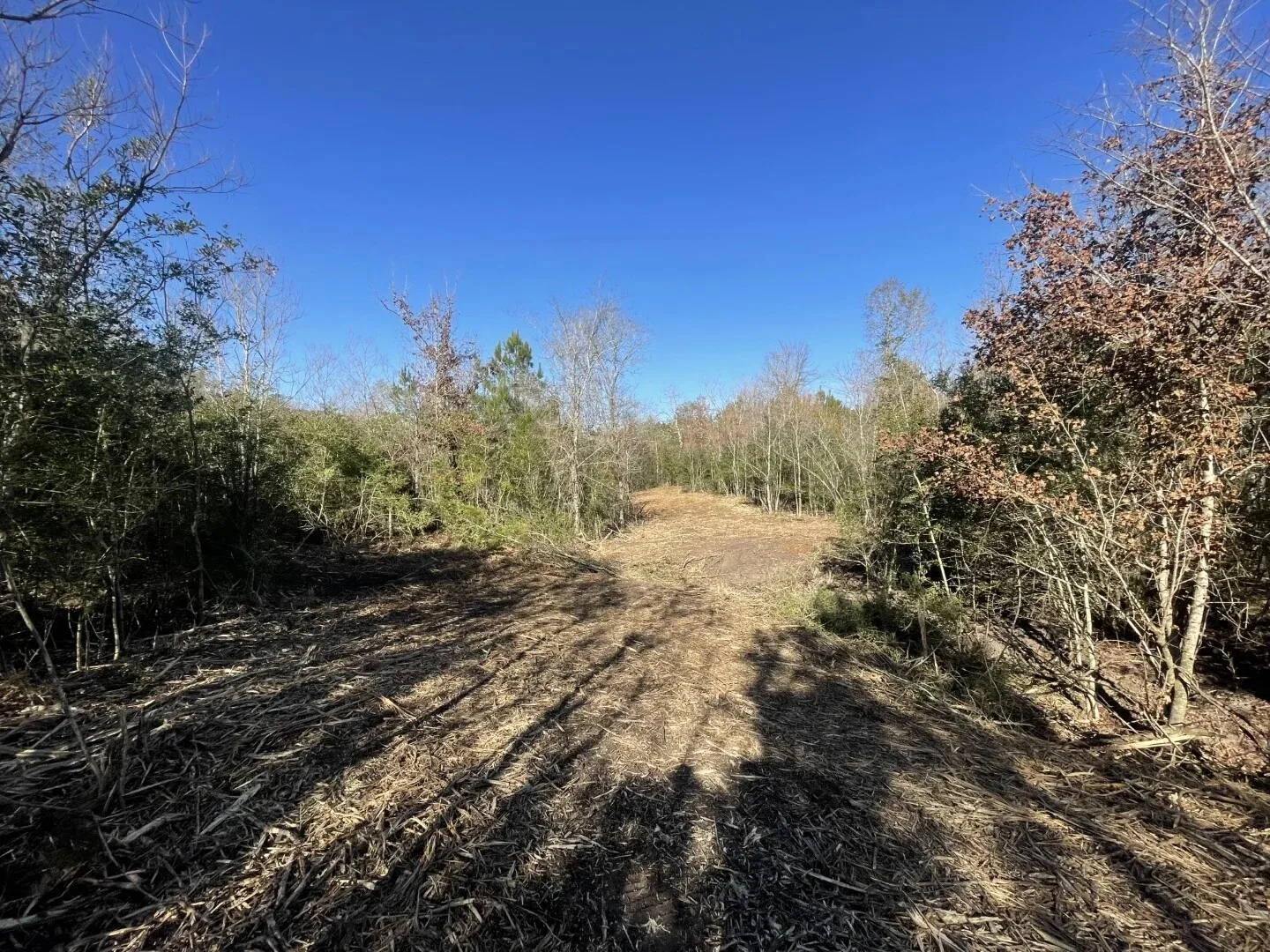 Ranch For Sale in Polk County , Lot 5 E FM 942, Corrigan, Texas 75934, 0, 0, Garage spaces, 0 Sqft, built in 0, Price $141,900, mls#21196496, Real Estate Agent in Corrigan, Homes For Sale in Polk county, Homes For Sale in Corrigan, Realtor in Corrigan Texas, Real Estate Brokerage Independent Realty Texas, Luminita Cordes Realtor