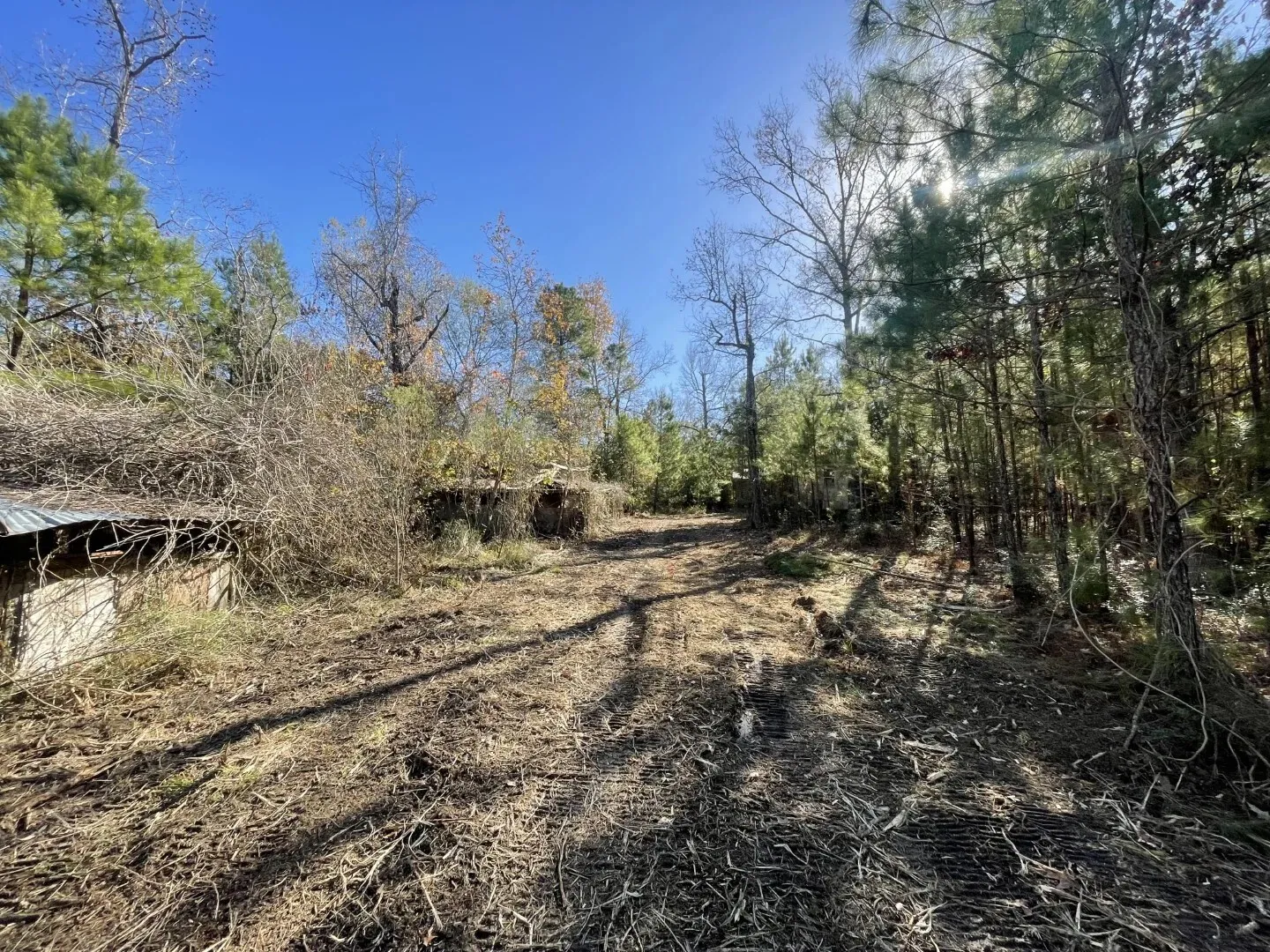 Ranch For Sale in Polk County , Lot 5 E FM 942, Corrigan, Texas 75934, 0, 0, Garage spaces, 0 Sqft, built in 0, Price $141,900, mls#21196496, Real Estate Agent in Corrigan, Homes For Sale in Polk county, Homes For Sale in Corrigan, Realtor in Corrigan Texas, Real Estate Brokerage Independent Realty Texas, Luminita Cordes Realtor