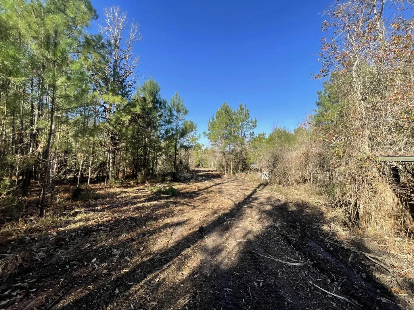 Ranch For Sale in Polk County , Lot 5 E FM 942, Corrigan, Texas 75934, 0, 0, Garage spaces, 0 Sqft, built in 0, Price $141,900, mls#21196496, Real Estate Agent in Corrigan, Homes For Sale in Polk county, Homes For Sale in Corrigan, Realtor in Corrigan Texas, Real Estate Brokerage Independent Realty Texas, Luminita Cordes Realtor