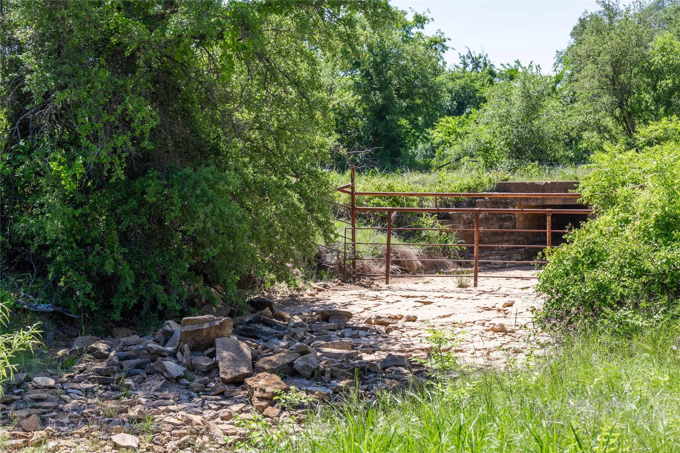 Natural landscape featuring dense green foliage