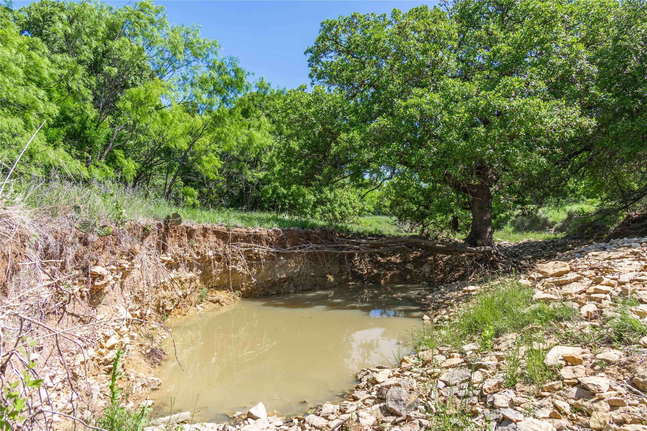 Natural water feature with surrounding rock and earth banks