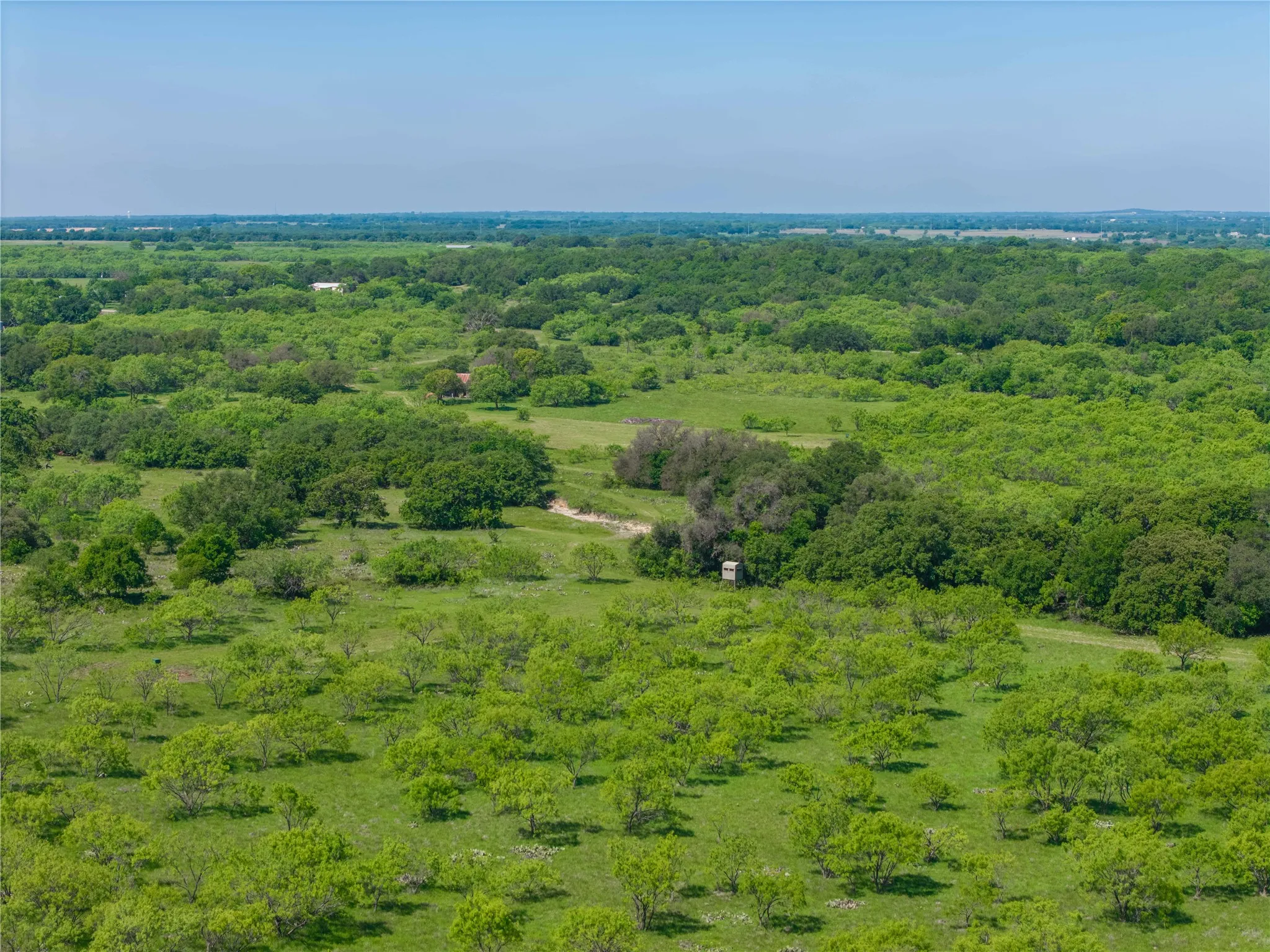 Expansive acreage featuring abundant mature trees and verdant vegetation