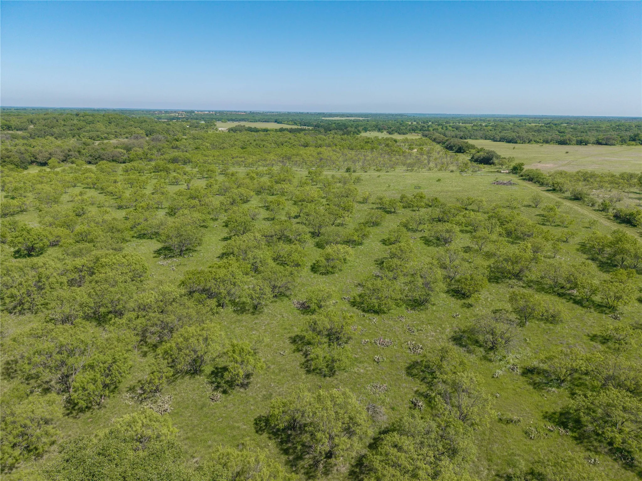 Expansive undeveloped land featuring a mix of green pasture and scattered trees under a clear sky