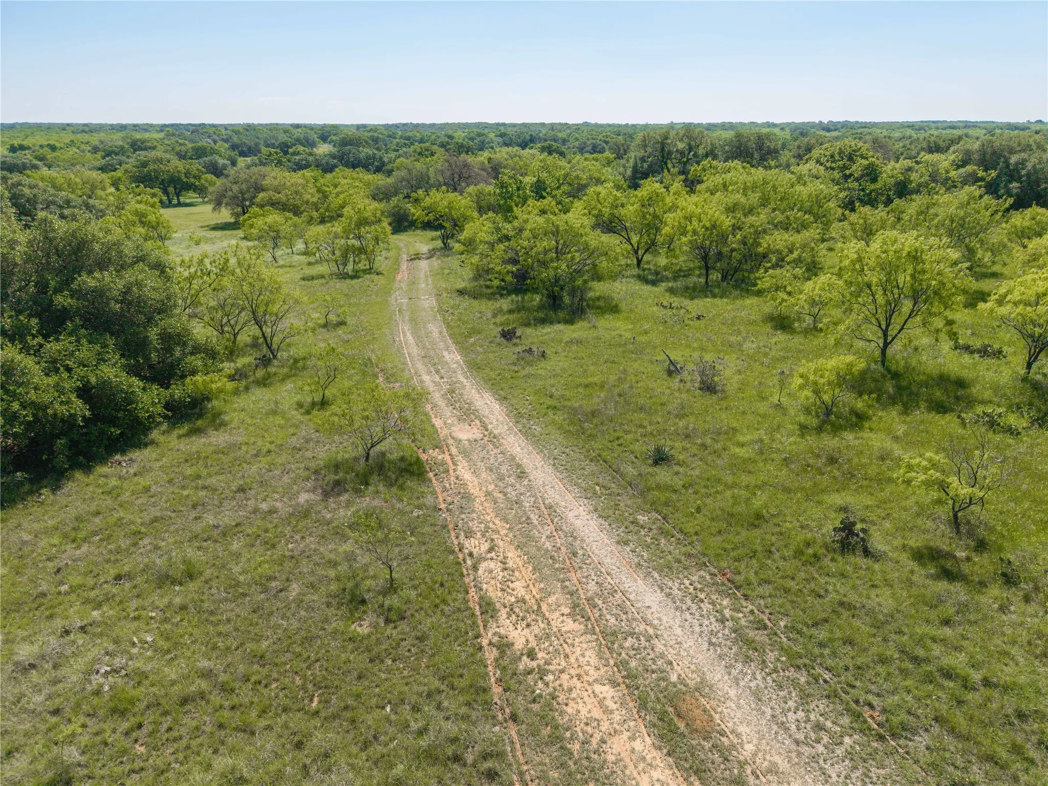 Expansive natural landscape with a clear dirt path traversing through