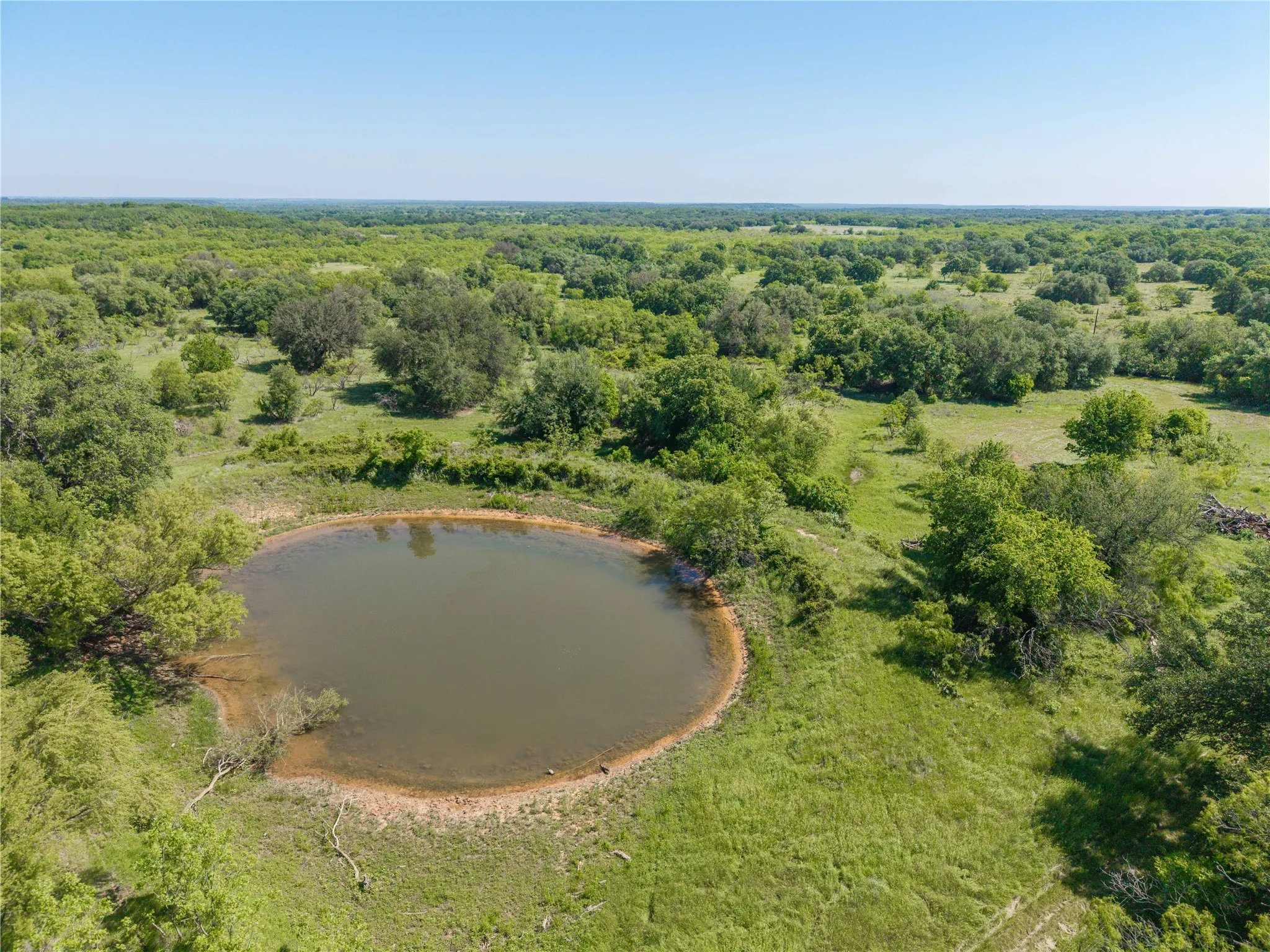 Natural pond surrounded by extensive green pasture and mature trees