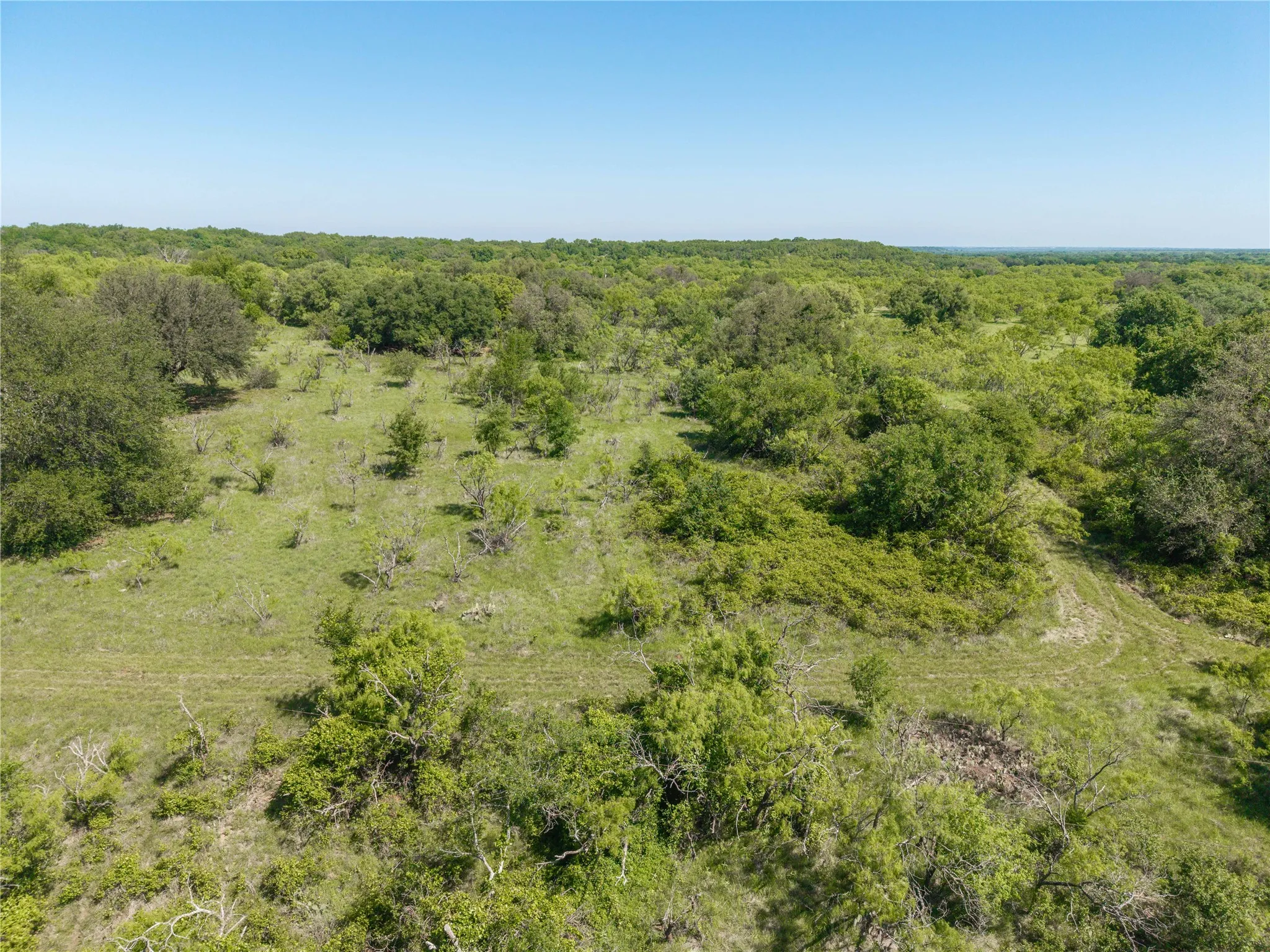 Ranch For Sale in Eastland County , 91 Acres Co Rd 370, Carbon, Texas 76435, 0, 0, Garage spaces, 0 Sqft, built in 0, Price $645,991, mls#21196516, Real Estate Agent in Carbon, Homes For Sale in Eastland county, Homes For Sale in Carbon, Realtor in Carbon Texas, Real Estate Brokerage Independent Realty Texas, Luminita Cordes Realtor
