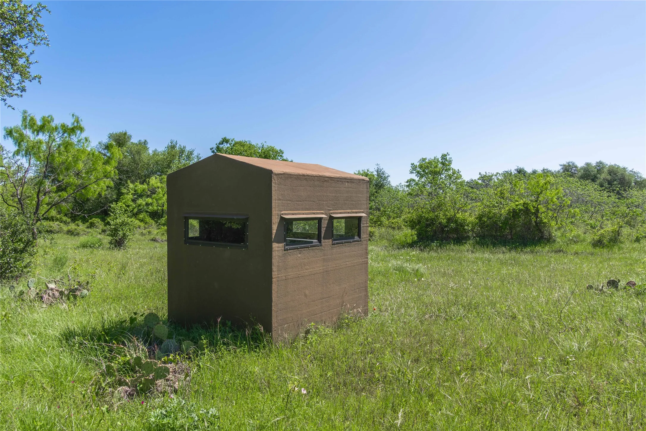 Freestanding structure with multiple rectangular window openings, set within a field of natural grass and brush