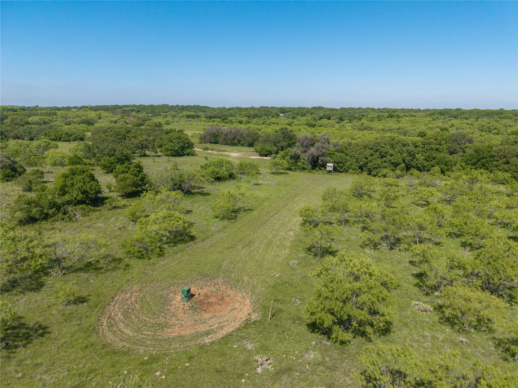 Expansive green landscape with varied tree coverage, featuring a clear sky overhead