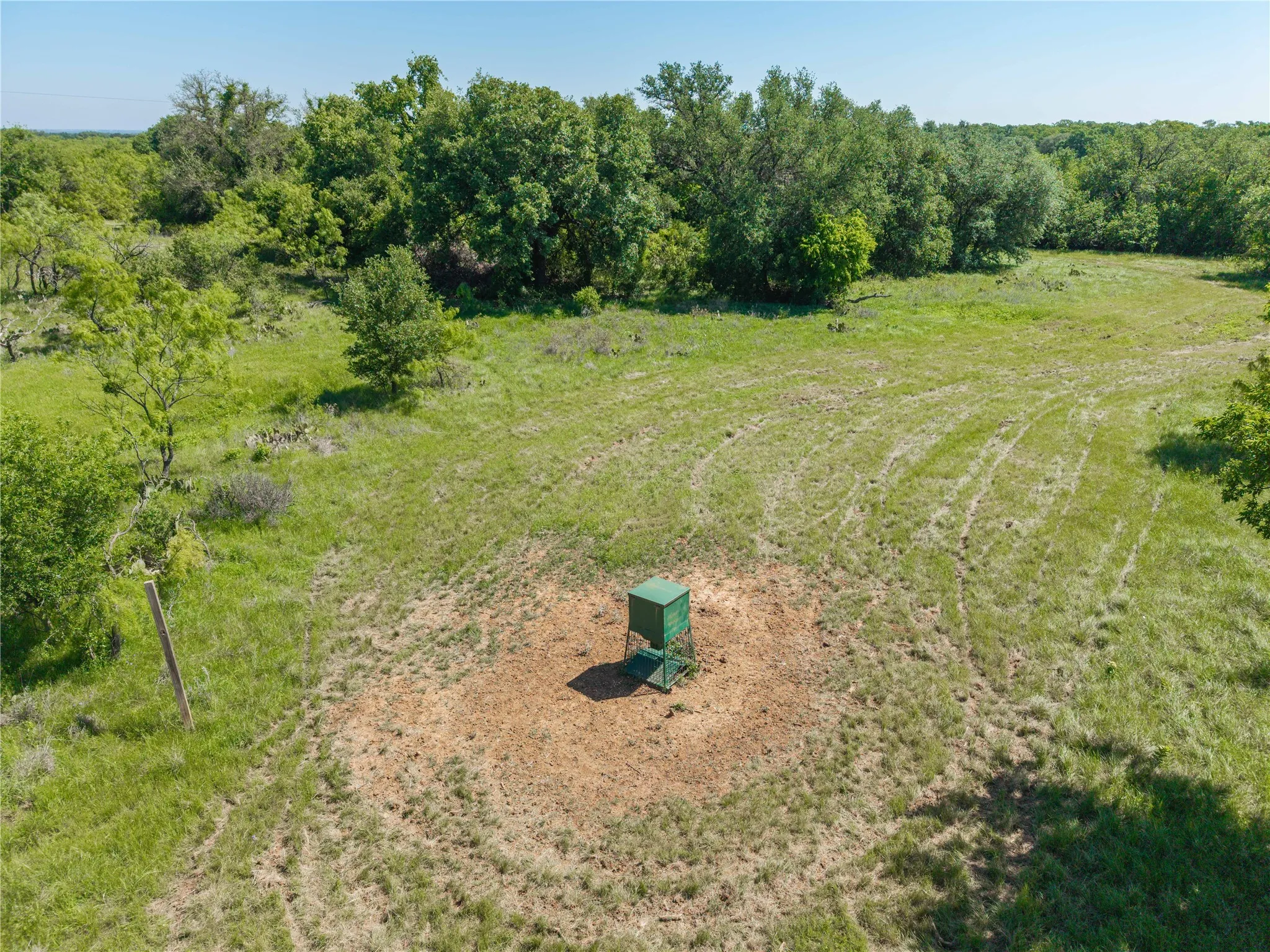 Expansive natural landscape featuring a broad grassy area and surrounding mature trees