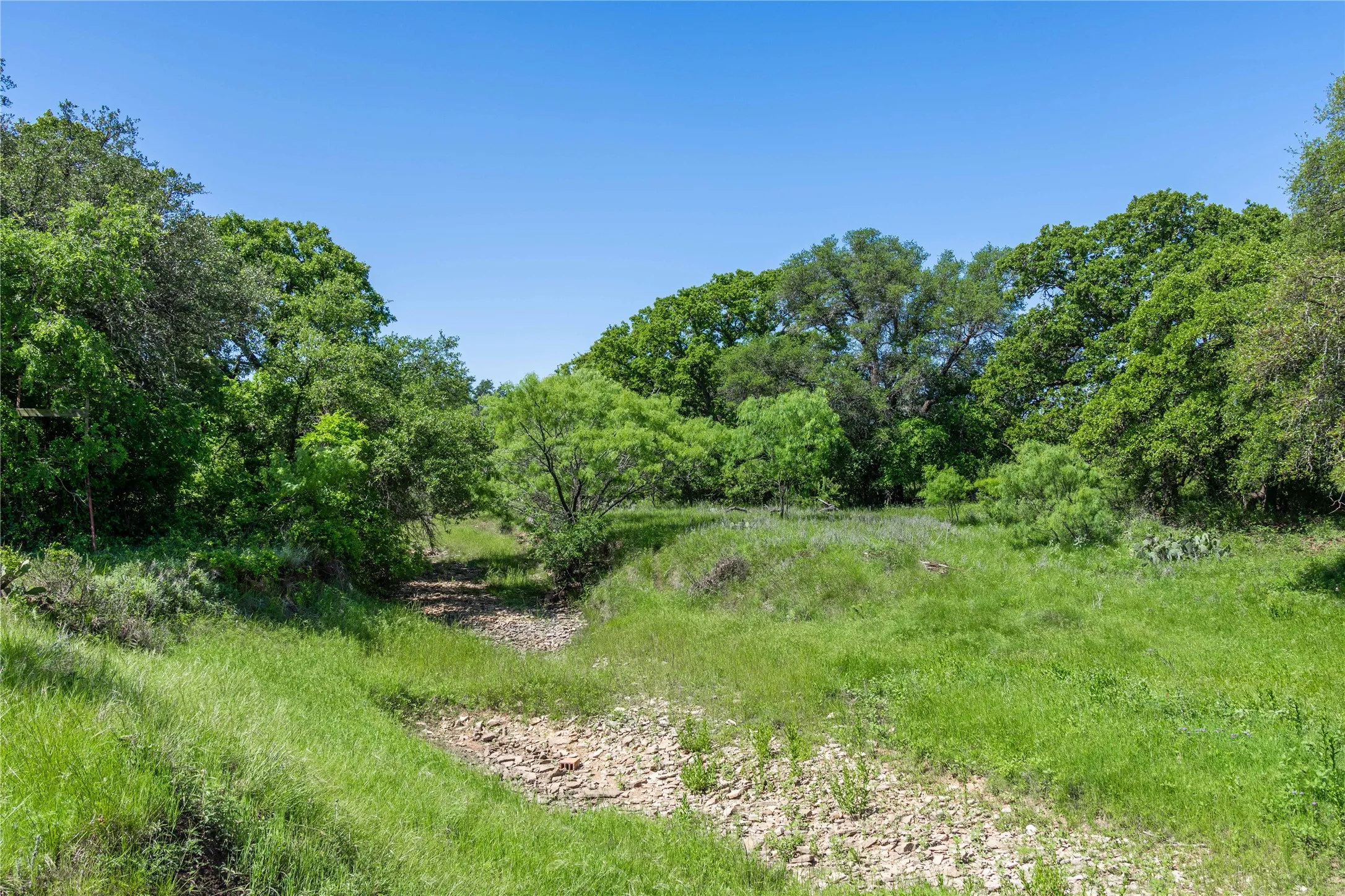 Expansive natural landscape with varied terrain