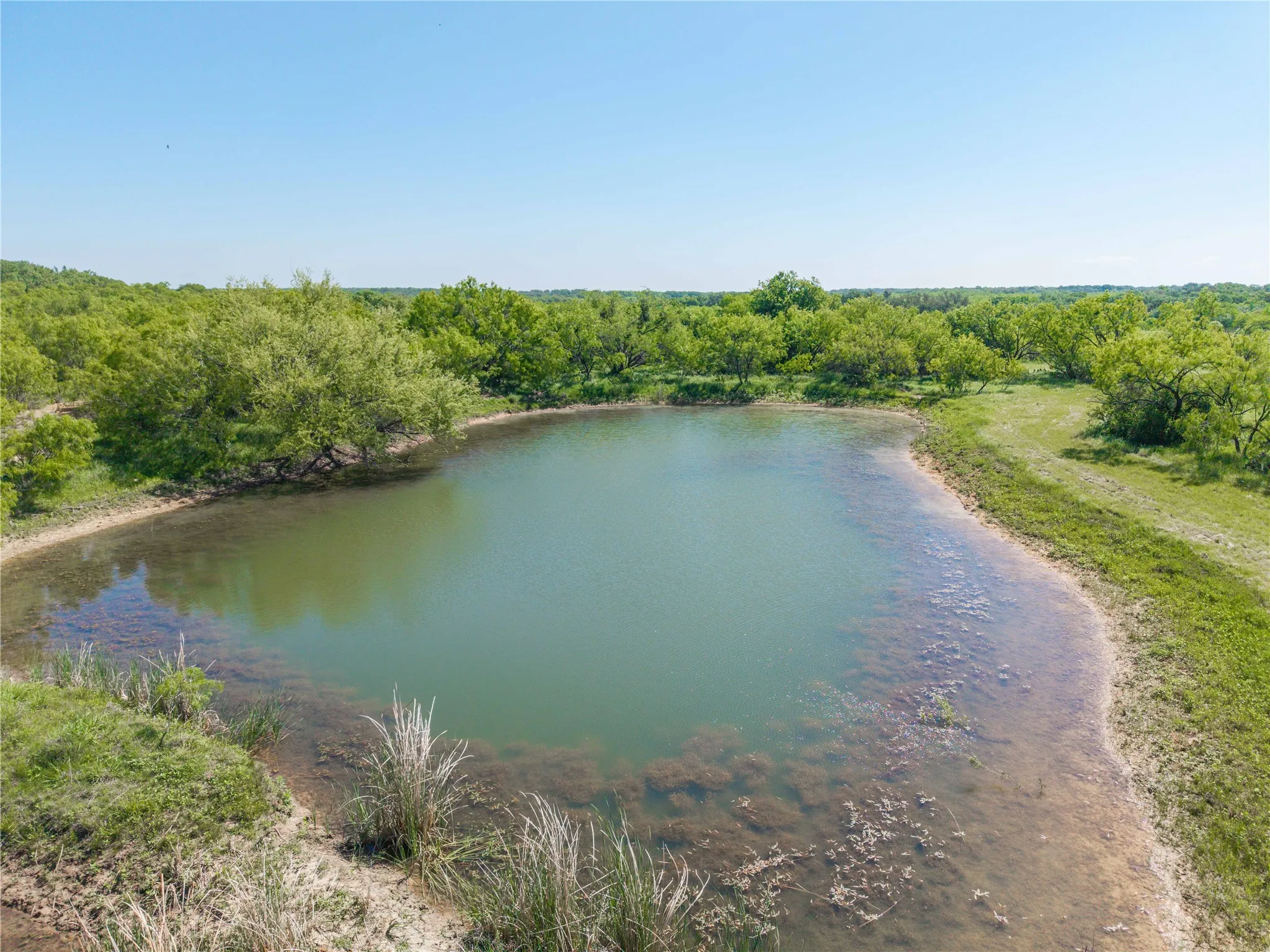 Natural water feature surrounded by established trees and green spaces