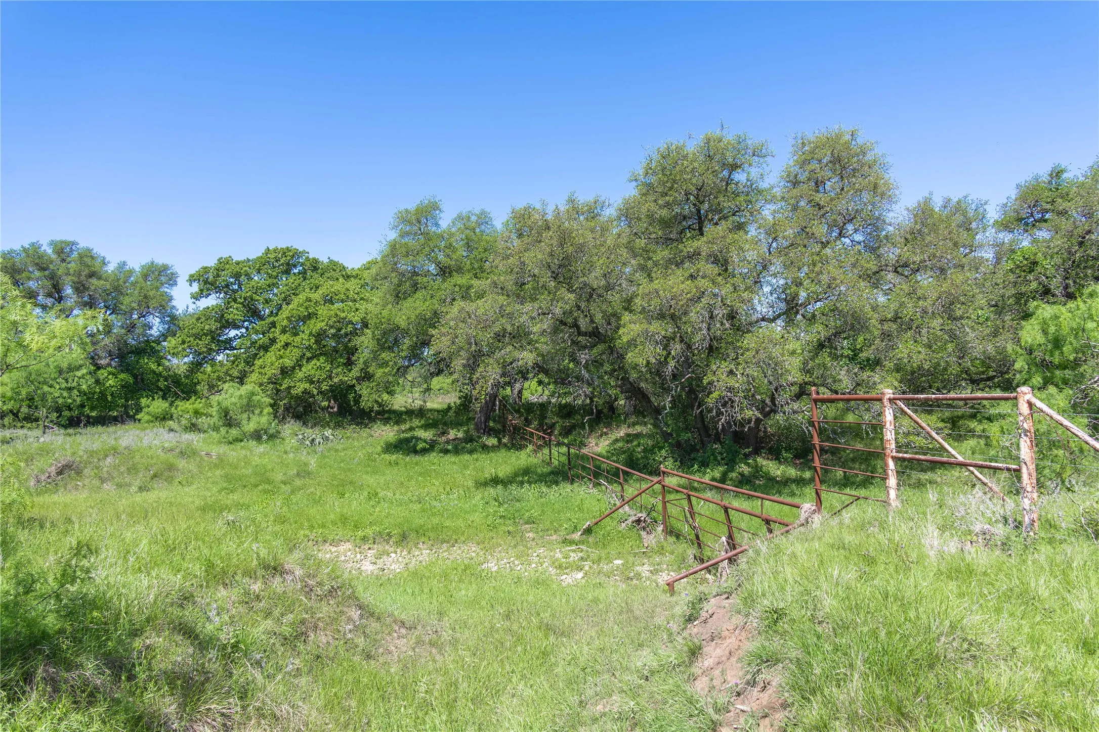 Expansive outdoor space featuring a varied terrain of grassy areas and mature trees