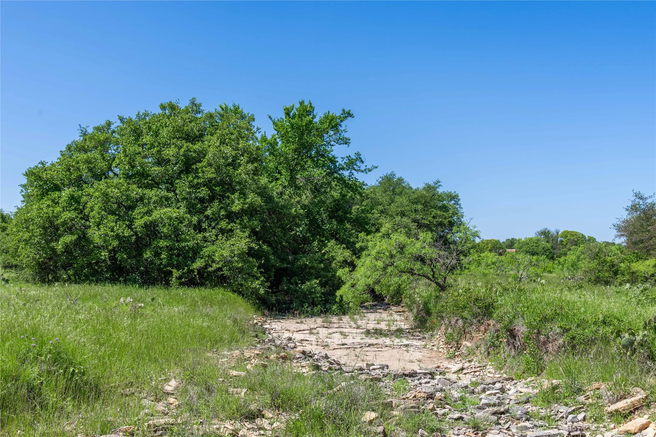 Expansive natural landscape featuring a rocky bed, lush green foliage, and mature trees under a clear sky
