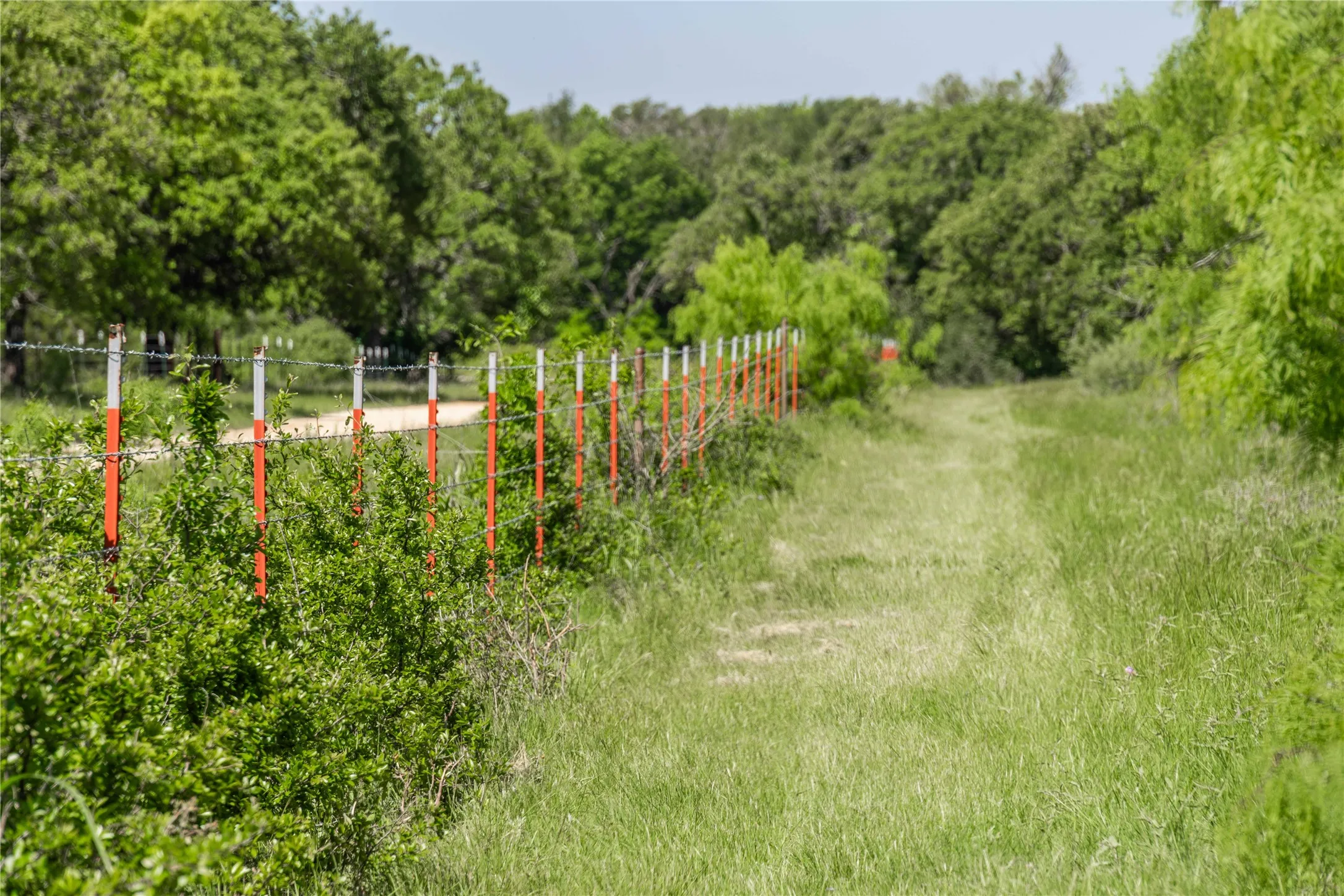 Expansive grassy landscape bordered by a post-and-wire fence, mature trees, and natural vegetation