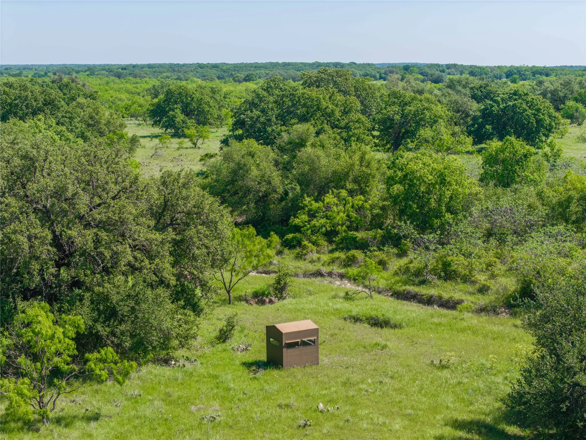 Expansive green landscape featuring abundant mature trees and open clearings