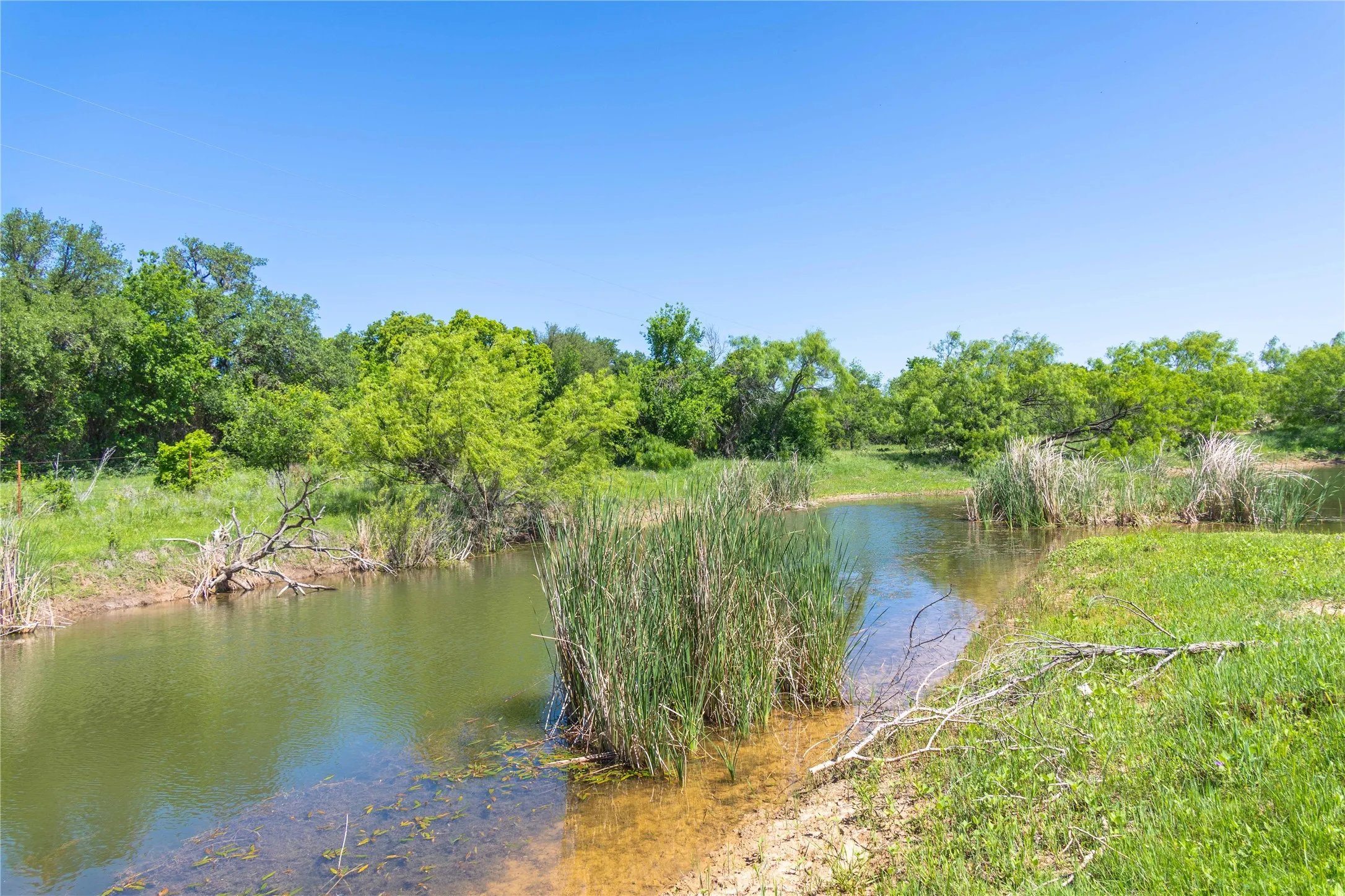 Natural water feature surrounded by lush green foliage and mature trees