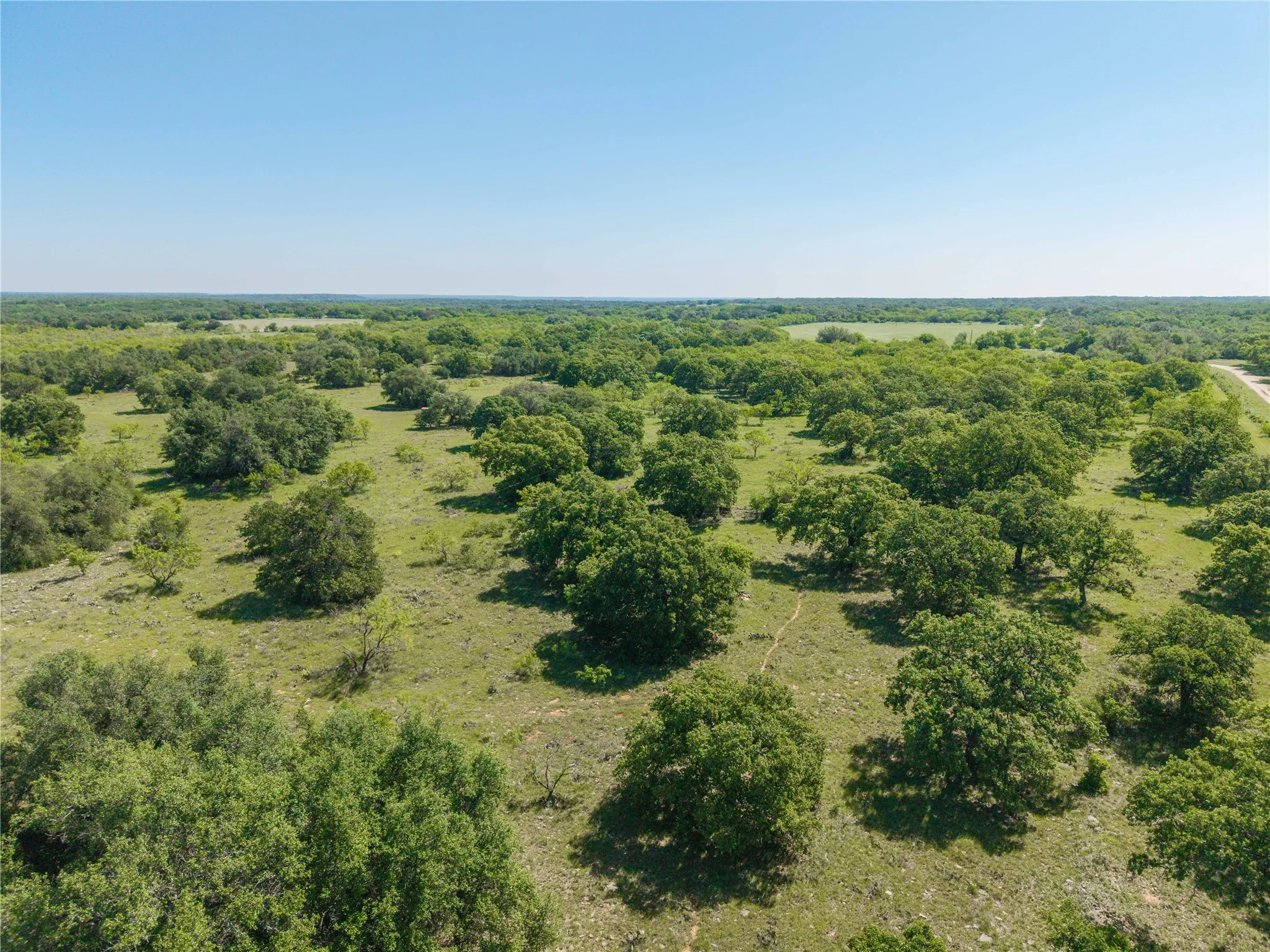 Expansive land parcel featuring scattered mature trees and open clearings