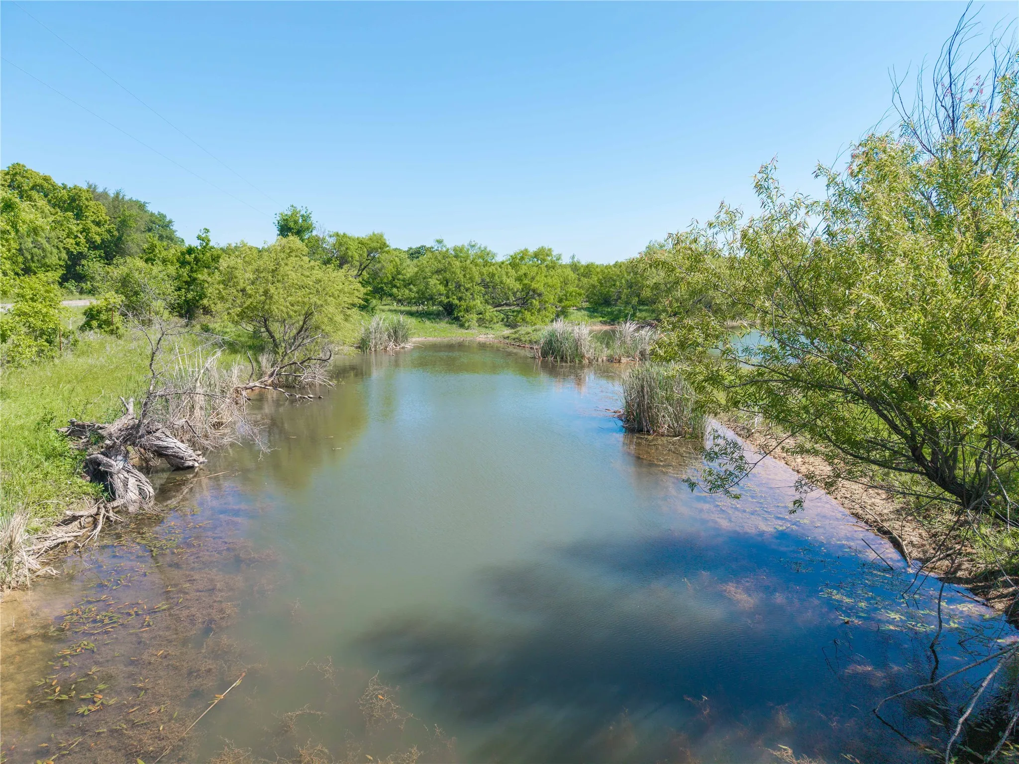 Natural pond featuring established vegetation along the banks and surrounding trees