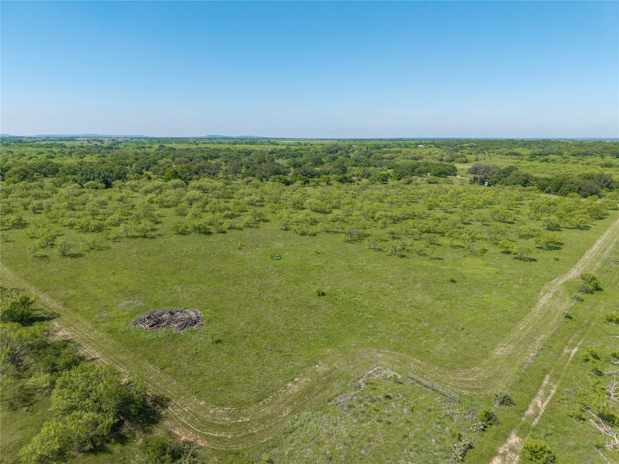 Expansive acreage featuring abundant mature trees and verdant grasslands