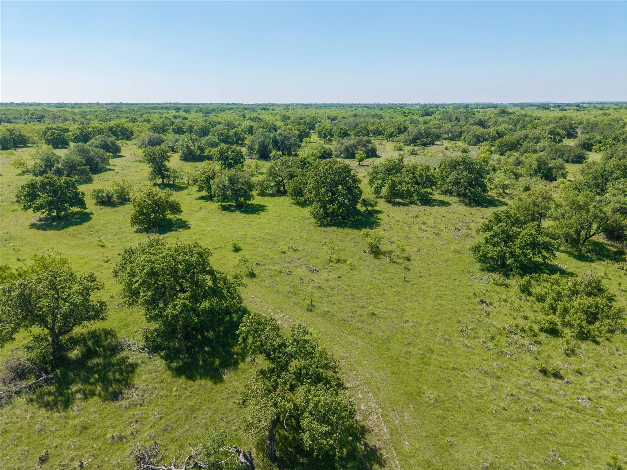 Expansive green acreage featuring scattered mature trees under a clear sky
