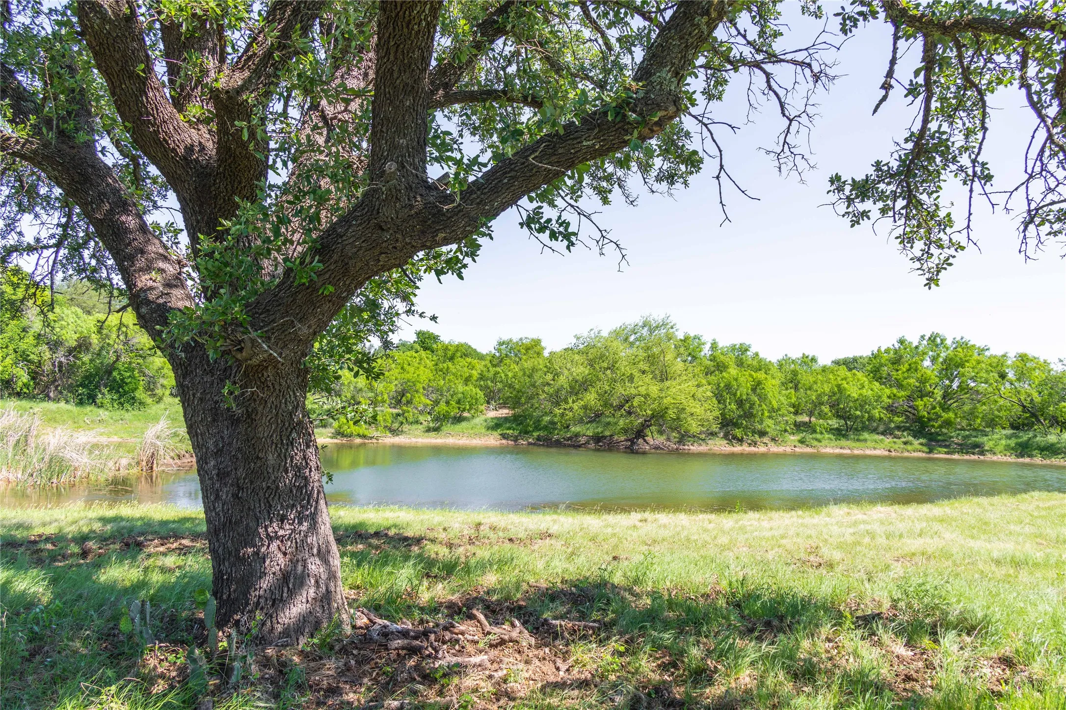 Expansive natural landscape featuring a large body of water, mature trees, and open grassy areas