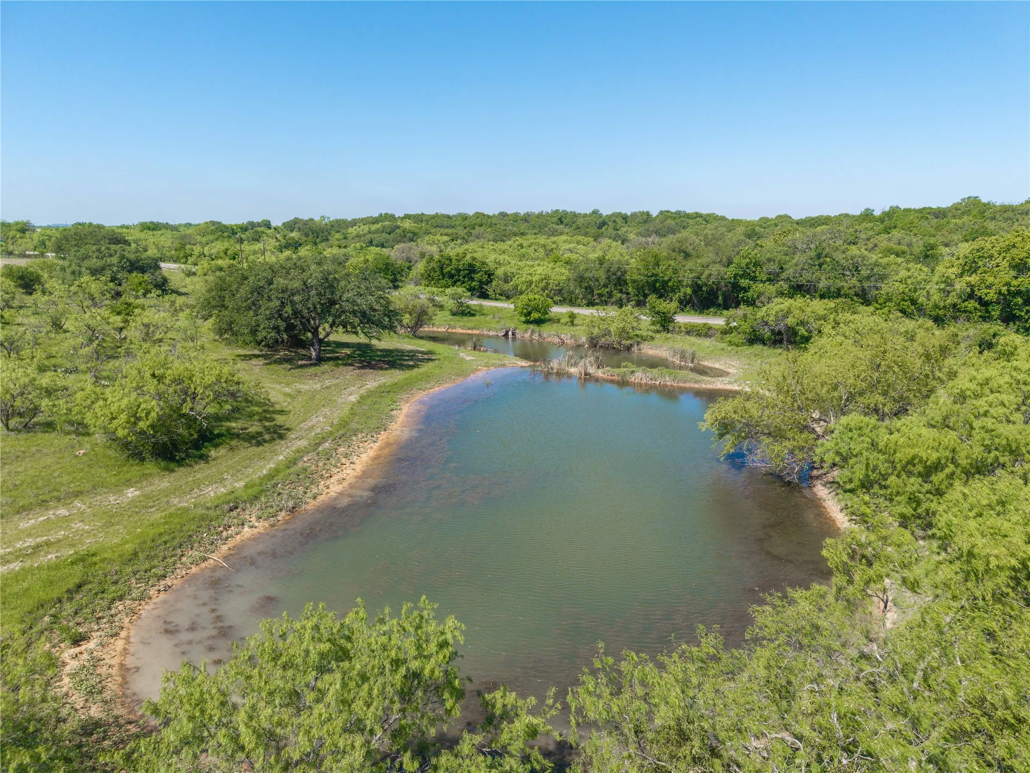 Natural pond surrounded by lush green foliage and mature trees