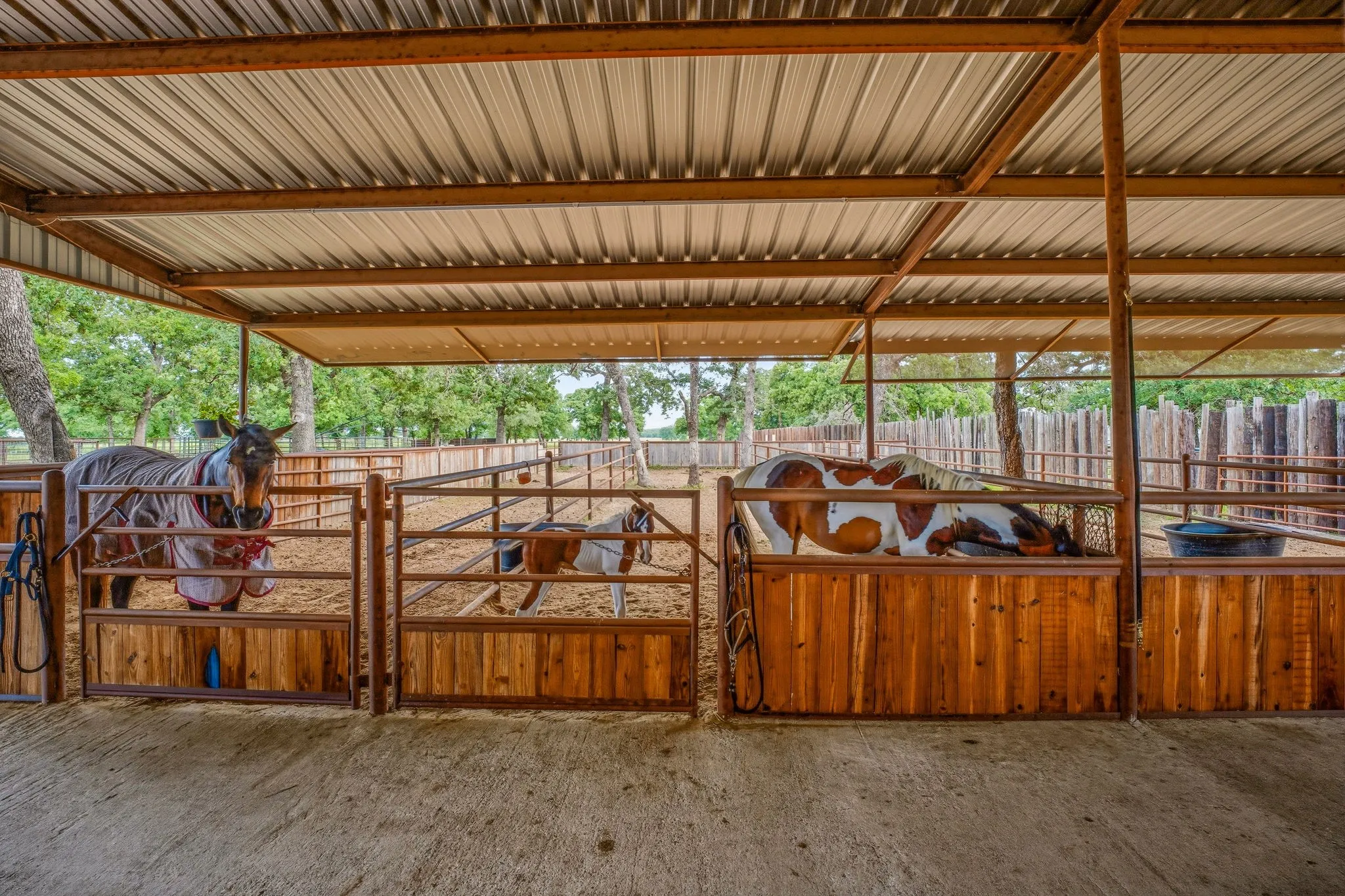 Single Family Residence For Sale in Erath County , 6363 E Fm 1188, Bluff Dale, Texas 76433, 3 Bedroom, 3 Bathroom, 2 Garage spaces, 2,287 Sqft, built in 2002, mls#21191248, Real Estate Agent in Bluff Dale, Homes For Sale in Erath county, Homes For Sale in Bluff Dale, Realtor in Bluff Dale Texas, Real Estate Brokerage Independent Realty Texas, Luminita Cordes Realtor