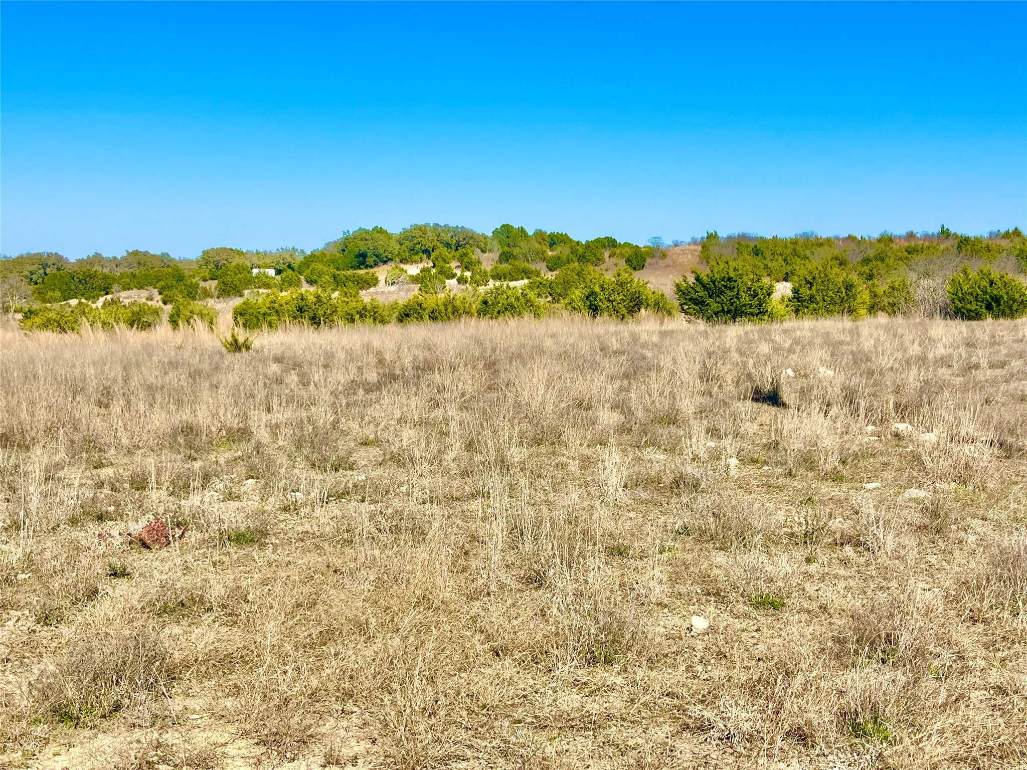 Unimproved Land For Sale in Hamilton County , tbd PR 3032, Hamilton, Texas 76531, 0, 0, Garage spaces, 0 Sqft, built in 0, Price $100,000, mls#21196669, Real Estate Agent in Hamilton, Homes For Sale in Hamilton county, Homes For Sale in Hamilton, Realtor in Hamilton Texas, Real Estate Brokerage Independent Realty Texas, Luminita Cordes Realtor