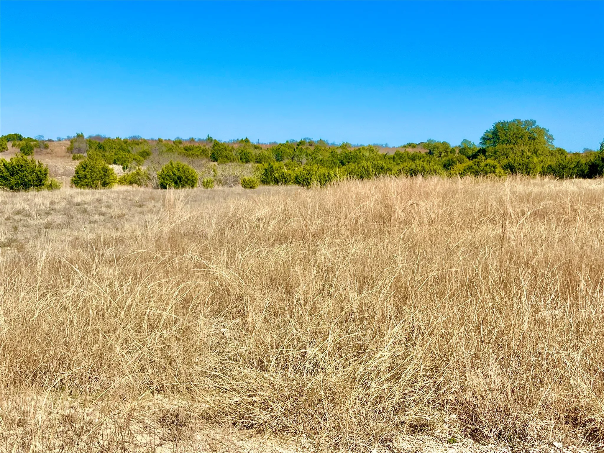 Unimproved Land For Sale in Hamilton County , tbd PR 3032, Hamilton, Texas 76531, 0, 0, Garage spaces, 0 Sqft, built in 0, Price $100,000, mls#21196669, Real Estate Agent in Hamilton, Homes For Sale in Hamilton county, Homes For Sale in Hamilton, Realtor in Hamilton Texas, Real Estate Brokerage Independent Realty Texas, Luminita Cordes Realtor