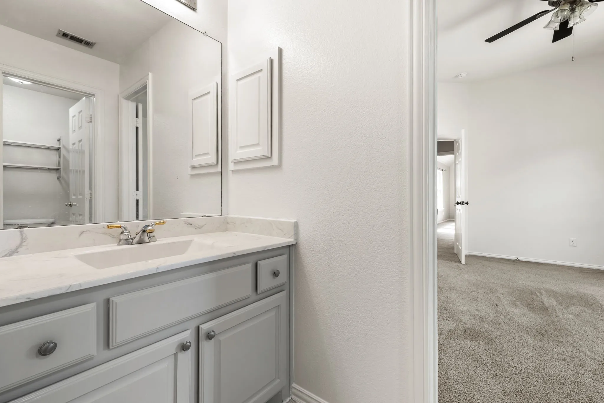 Jack and Jill style bathroom upstairs
