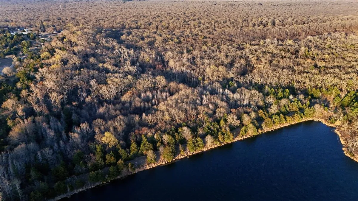 Improved Land For Sale in Smith County , 0000 Overview Drive, Mineola, Texas 75773, 0, 0, Garage spaces, 0 Sqft, built in 0, Price $850,000, mls#21196143, Real Estate Agent in Mineola, Homes For Sale in Smith county, Homes For Sale in Mineola, Realtor in Mineola Texas, Real Estate Brokerage Independent Realty Texas, Luminita Cordes Realtor