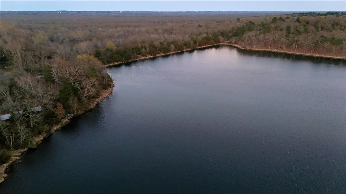 Improved Land For Sale in Smith County , 0000 Overview Drive, Mineola, Texas 75773, 0, 0, Garage spaces, 0 Sqft, built in 0, Price $850,000, mls#21196143, Real Estate Agent in Mineola, Homes For Sale in Smith county, Homes For Sale in Mineola, Realtor in Mineola Texas, Real Estate Brokerage Independent Realty Texas, Luminita Cordes Realtor