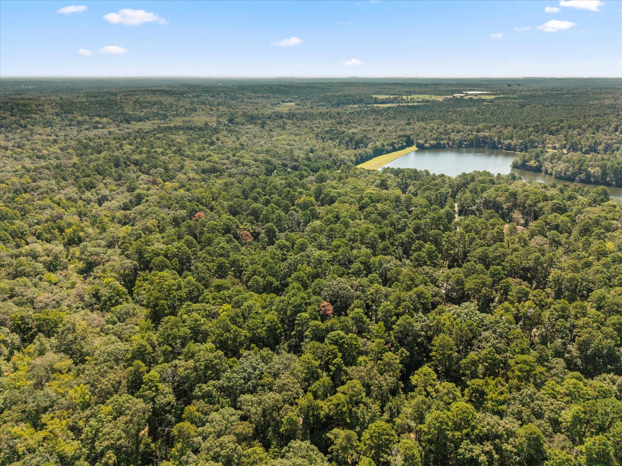 Single Family Residence For Sale in Wood County , 229 County Road 4554, Winnsboro, Texas 75494, 2 Bedrooms, 2 Bathrooms, Garage spaces, 1,488 Sqft, built in 1994, Preowned, Price $315,000, mls#21194146, Real Estate Agent in Winnsboro, Homes For Sale in Wood county, Homes For Sale in Winnsboro, Realtor in Winnsboro Texas, Real Estate Brokerage Independent Realty Texas, Luminita Cordes Realtor