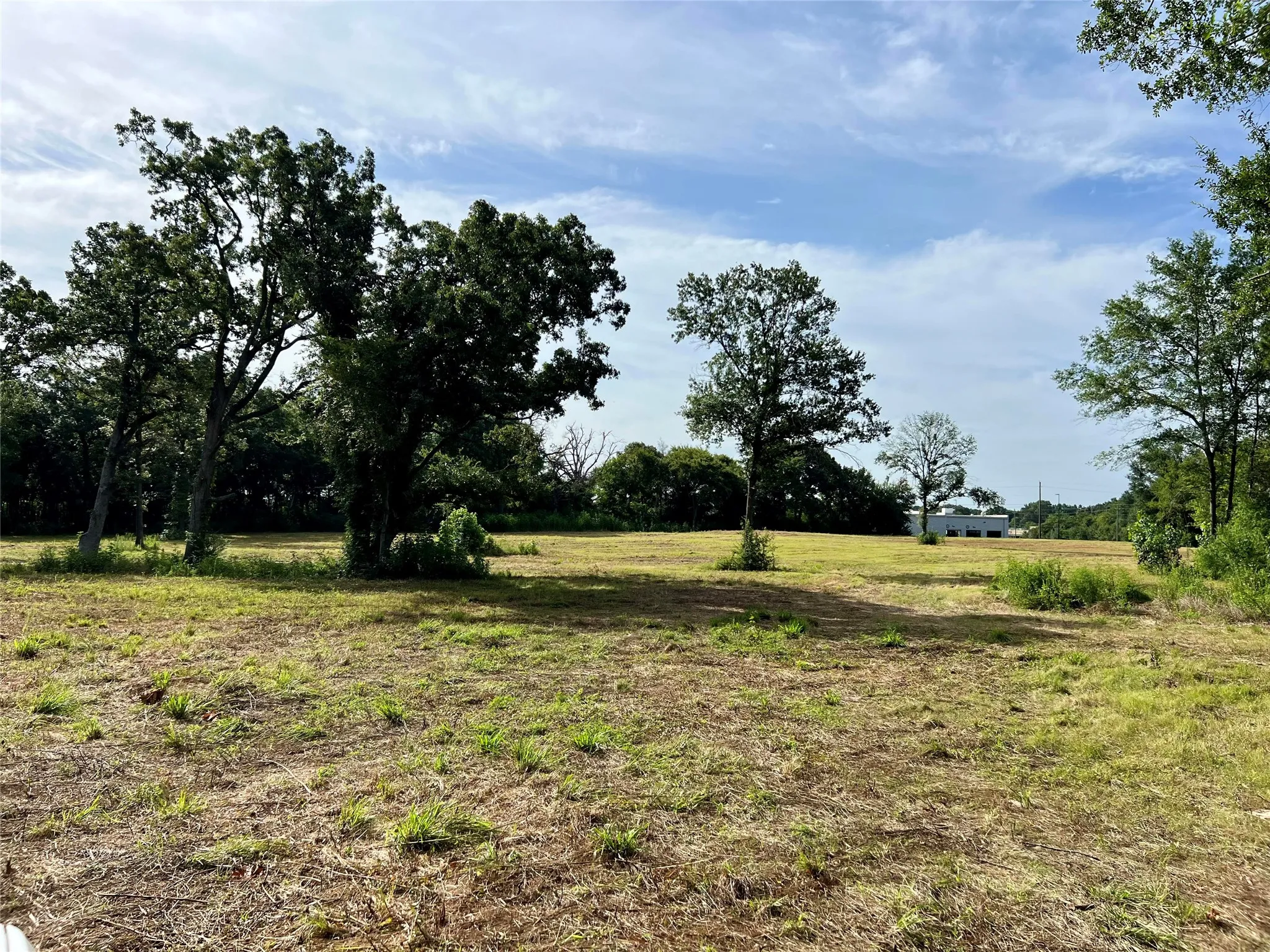 Unimproved Land For Sale in Henderson County , 504 Wood Street, Athens, Texas 75751, 0, 0, Garage spaces, 0 Sqft, built in 0, mls#21196934, Real Estate Agent in Athens, Homes For Sale in Henderson county, Homes For Sale in Athens, Realtor in Athens Texas, Real Estate Brokerage Independent Realty Texas, Luminita Cordes Realtor