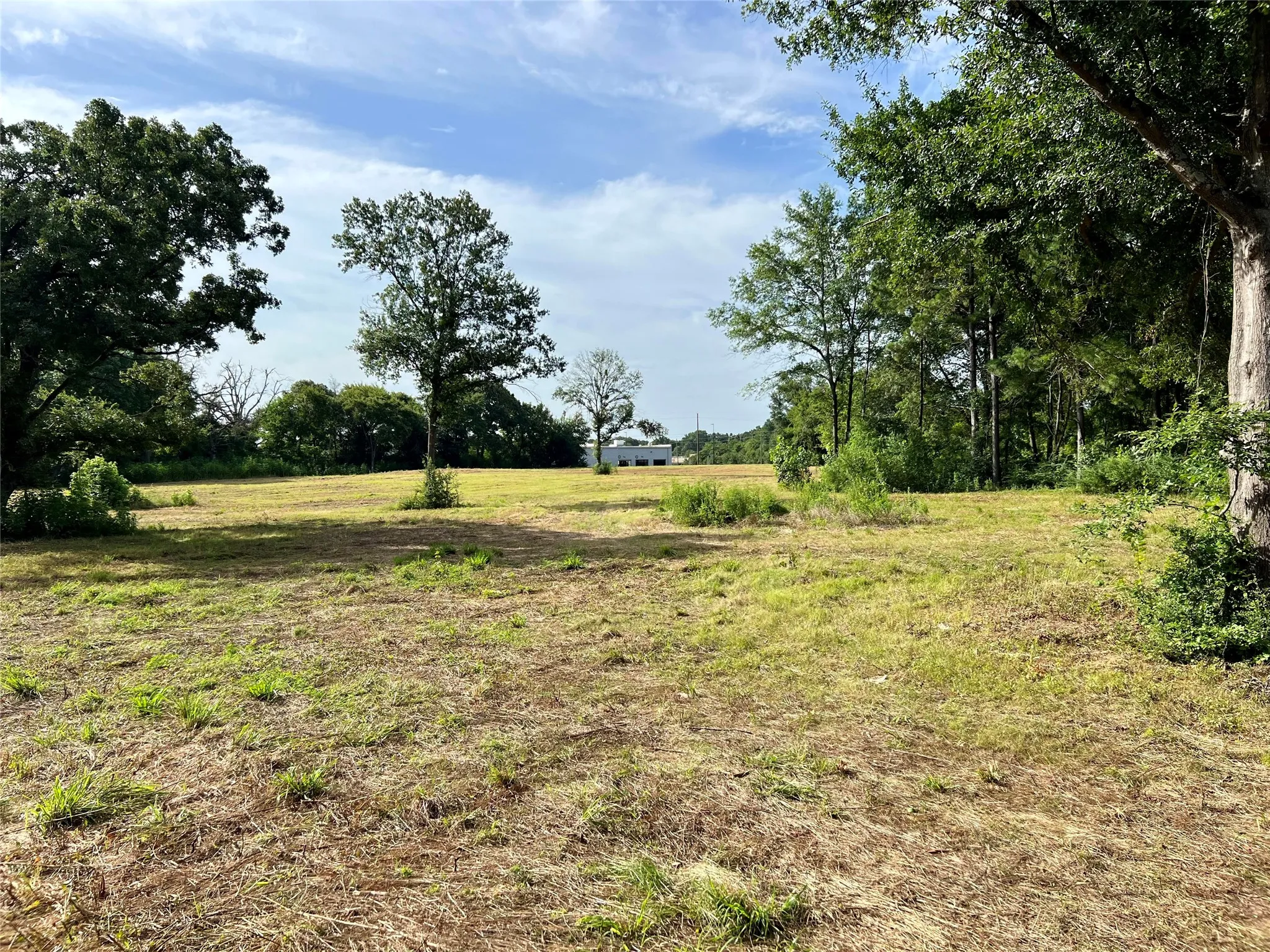Unimproved Land For Sale in Henderson County , 504 Wood Street, Athens, Texas 75751, 0, 0, Garage spaces, 0 Sqft, built in 0, mls#21196934, Real Estate Agent in Athens, Homes For Sale in Henderson county, Homes For Sale in Athens, Realtor in Athens Texas, Real Estate Brokerage Independent Realty Texas, Luminita Cordes Realtor