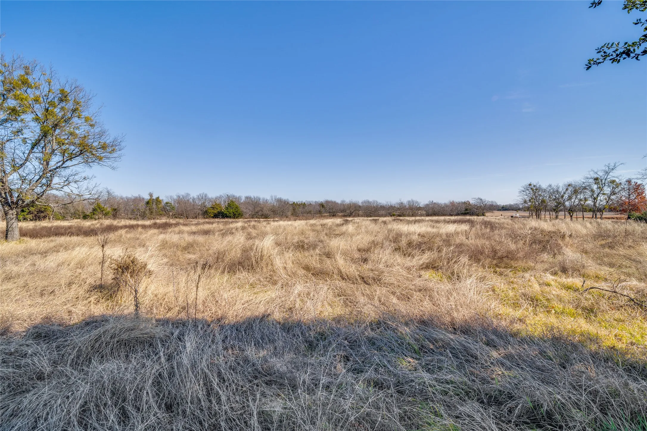 Farm For Sale in Collin County , 324 N Greenville Road, Josephine, Texas 75173, 3 Bedroom, 2 Bathroom, Garage spaces, 1,344 Sqft, built in 1950, Preowned, mls#21196987, Real Estate Agent in Josephine, Homes For Sale in Collin county, Homes For Sale in Josephine, Realtor in Josephine Texas, Real Estate Brokerage Independent Realty Texas, Luminita Cordes Realtor