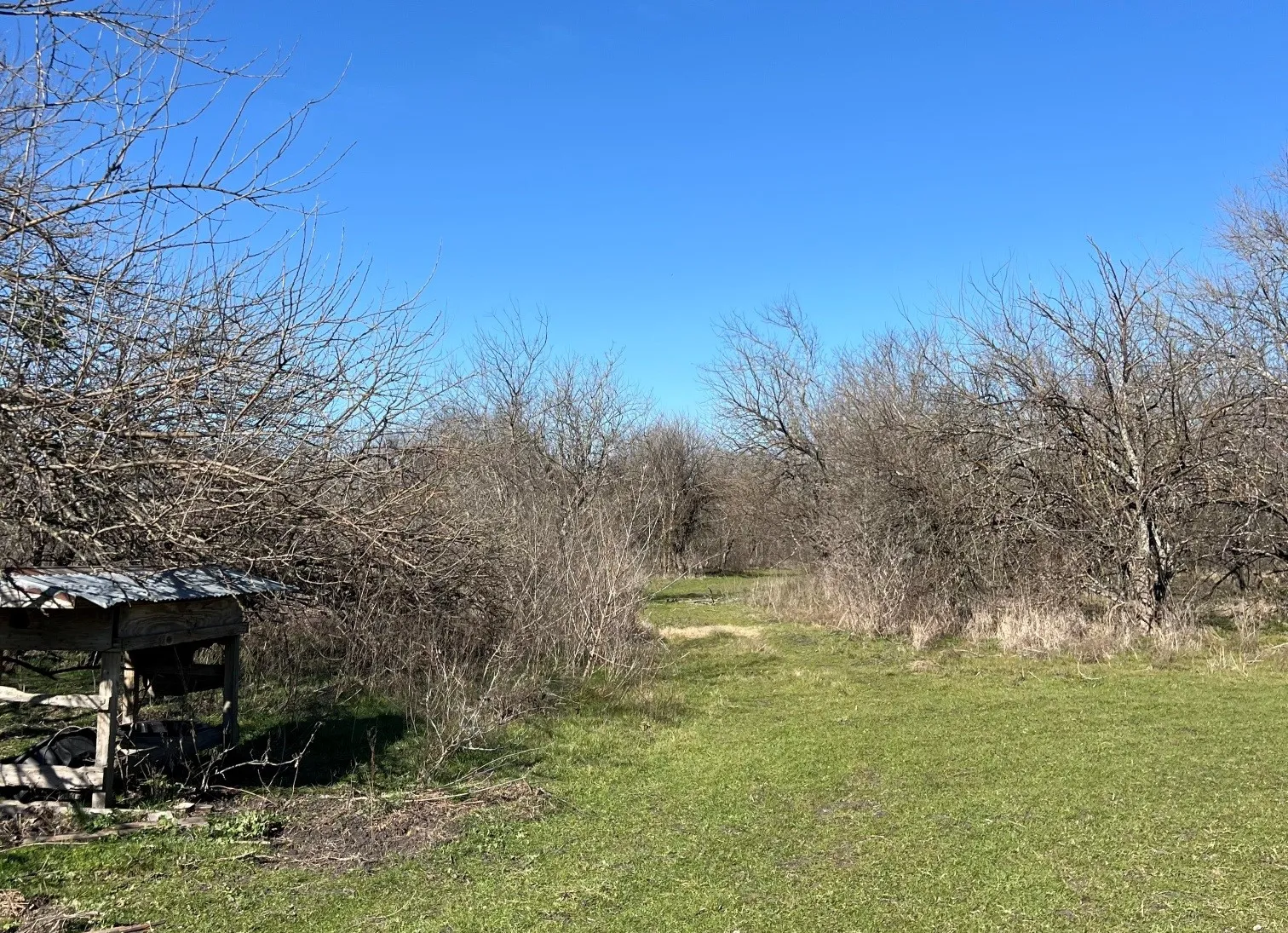 Single Family Residence For Sale in Kaufman County , 9595 County Road 262, Crandall, Texas 75114, 5 Bedroom, 4 Bathroom, Garage spaces, 5,587 Sqft, built in 2012, Preowned, Price $1,999,999, mls#21197073, Real Estate Agent in Crandall, Homes For Sale in Kaufman county, Homes For Sale in Crandall, Realtor in Crandall Texas, Real Estate Brokerage Independent Realty Texas, Luminita Cordes Realtor