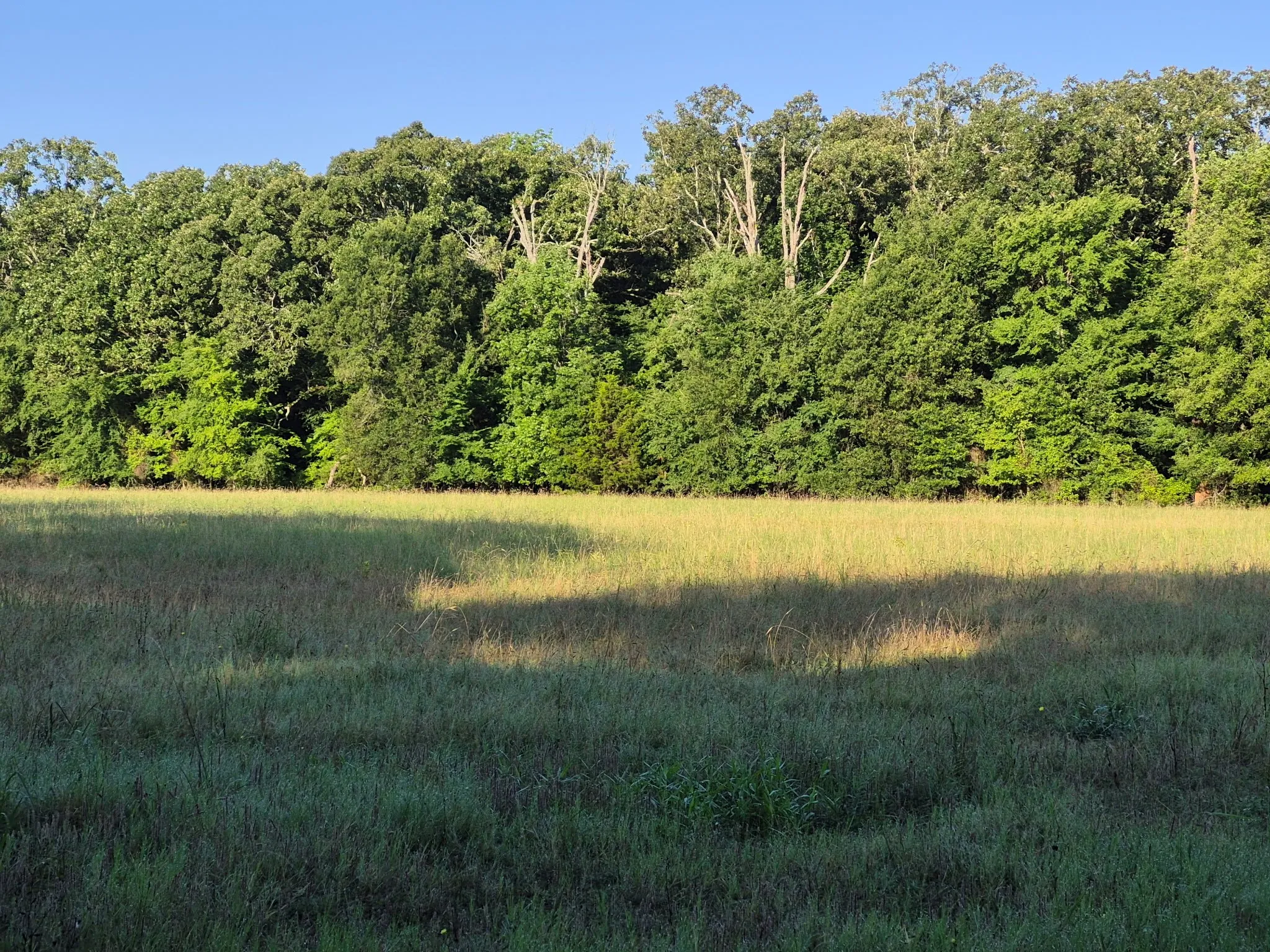 NORTHWEST CORNER LOOKING SOUTHEAST ACROSS PROPERTY