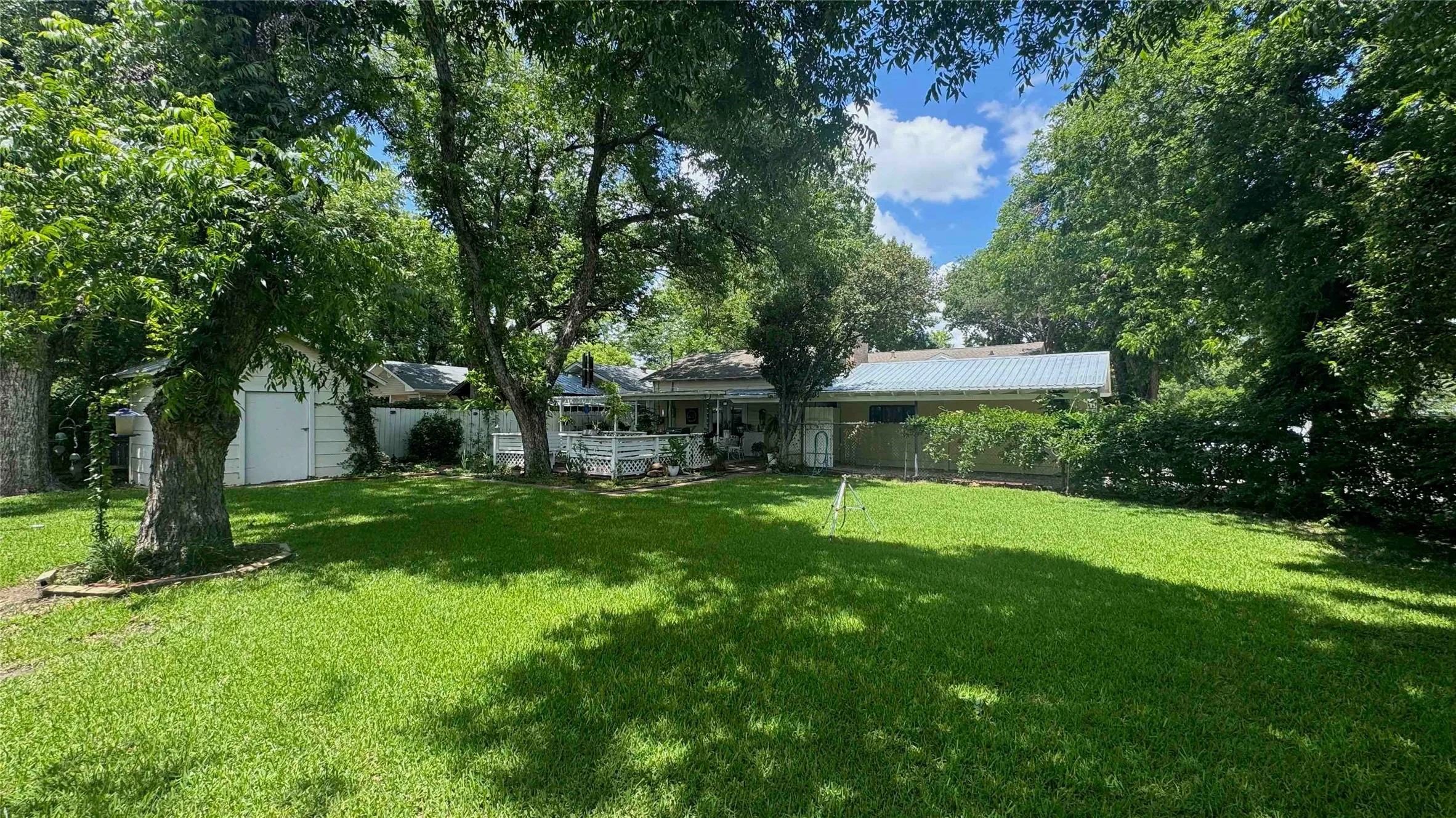 Back Yard & Trees