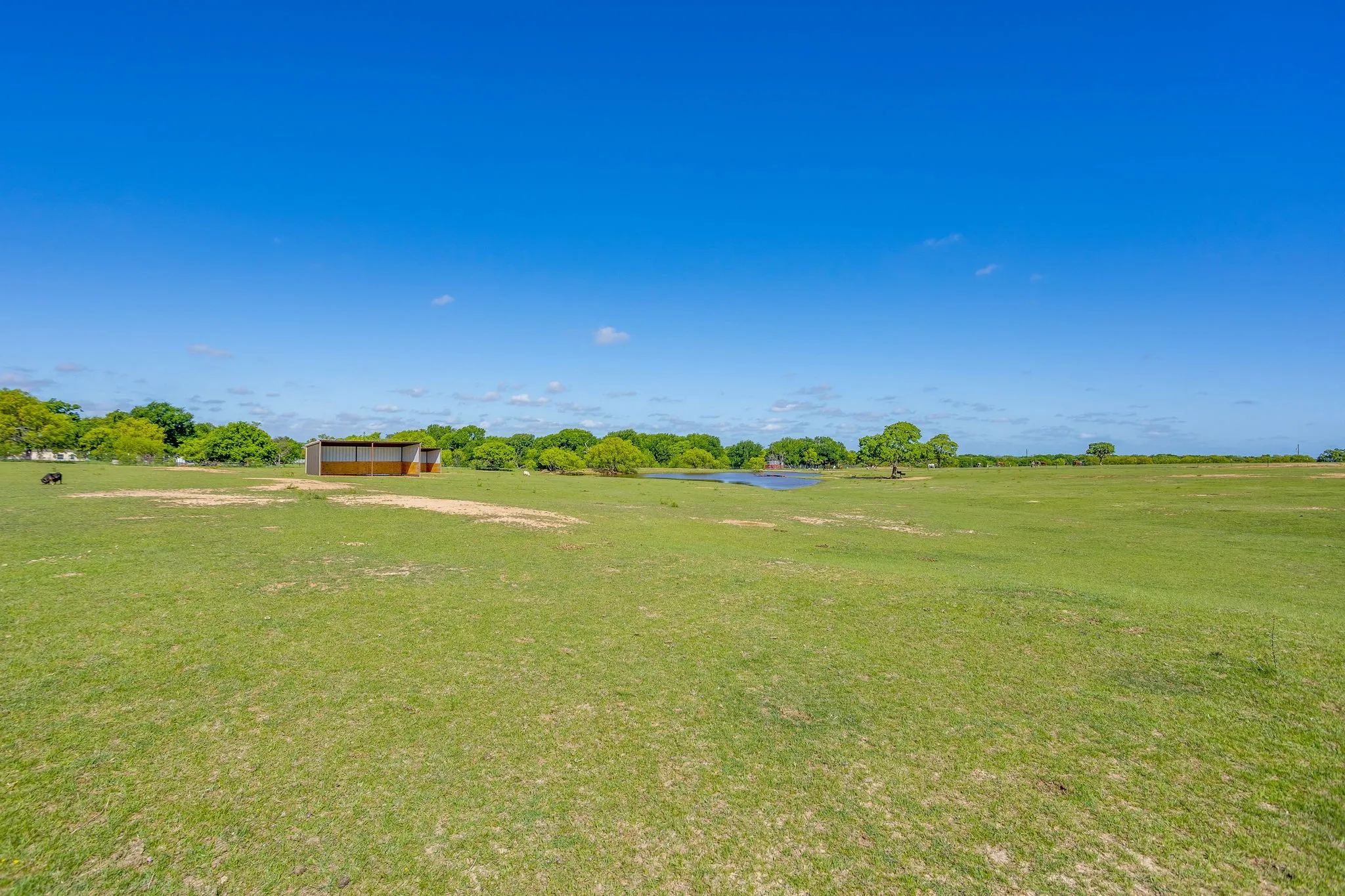 Farm For Sale in Wise County , 3678 County Road 3655, Bridgeport, Texas 76426, 5 Bedroom, 3 Bathroom, Garage spaces, 2,432 Sqft, built in 2024, Preowned, Price $1,750,000, mls#21192148, Real Estate Agent in Bridgeport, Homes For Sale in Wise county, Homes For Sale in Bridgeport, Realtor in Bridgeport Texas, Real Estate Brokerage Independent Realty Texas, Luminita Cordes Realtor