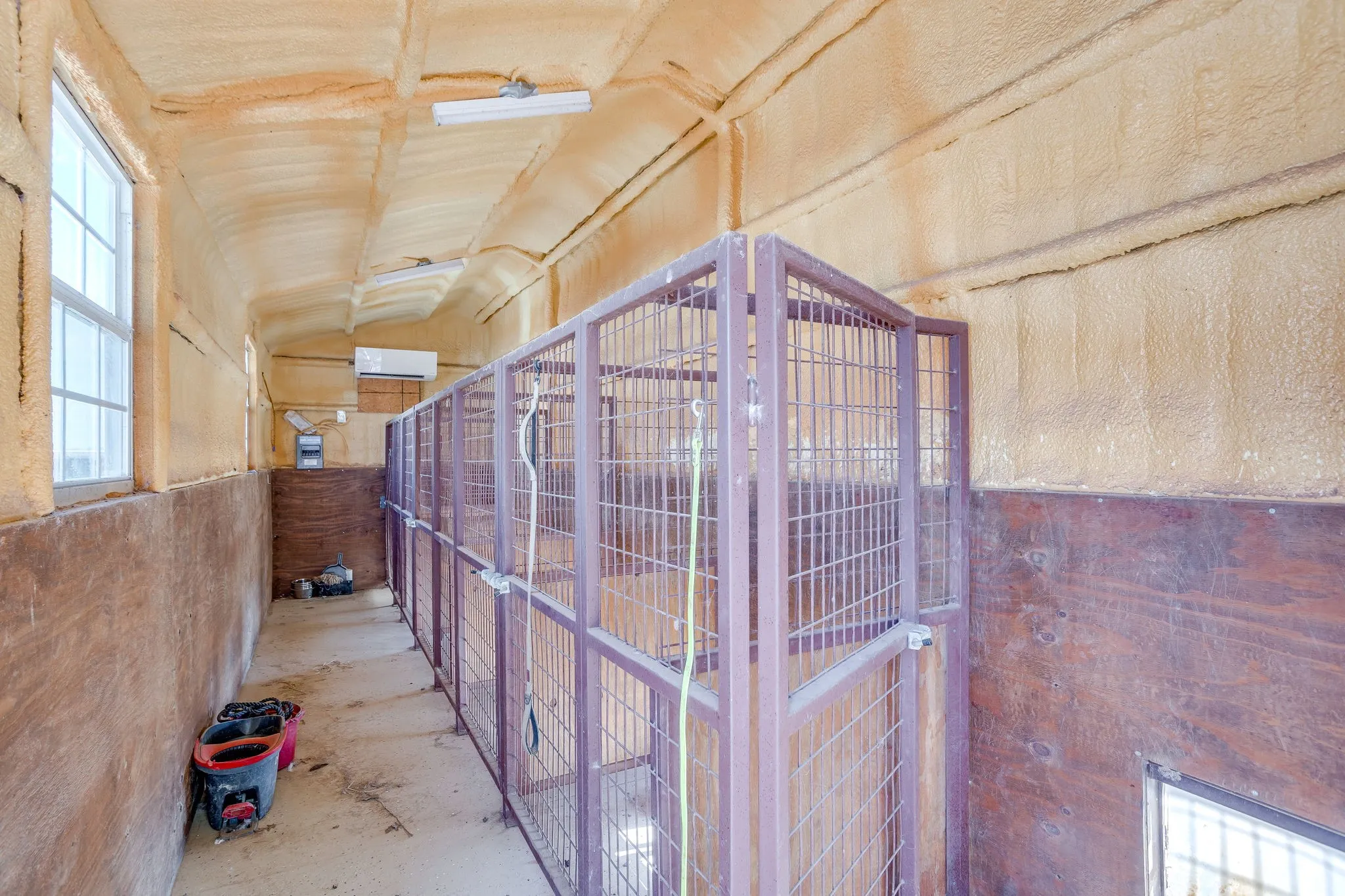 kennels interior
