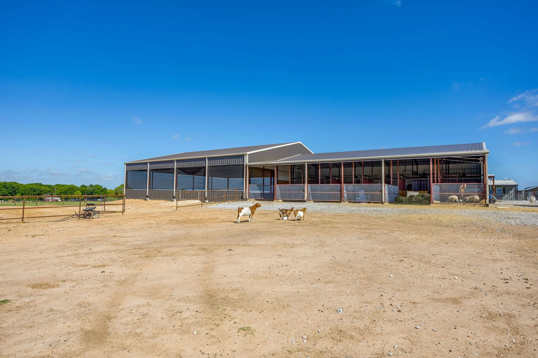 covered arena