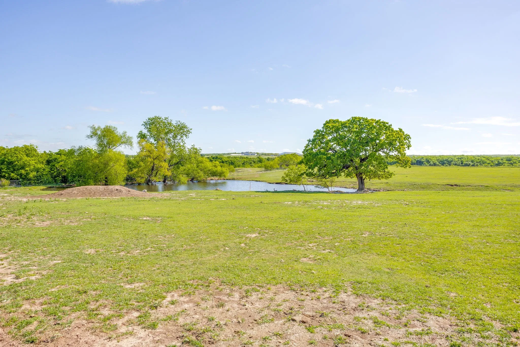 pasture