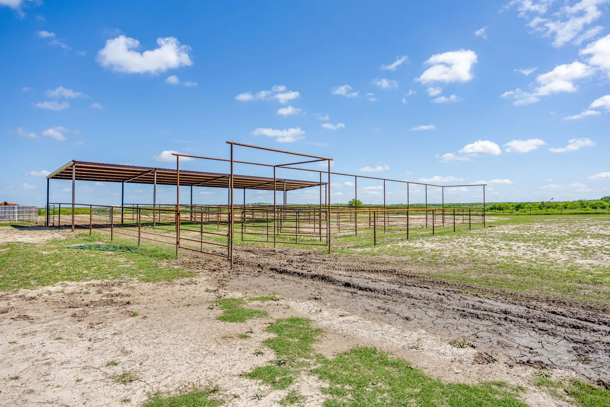 covered sorting pens to load out