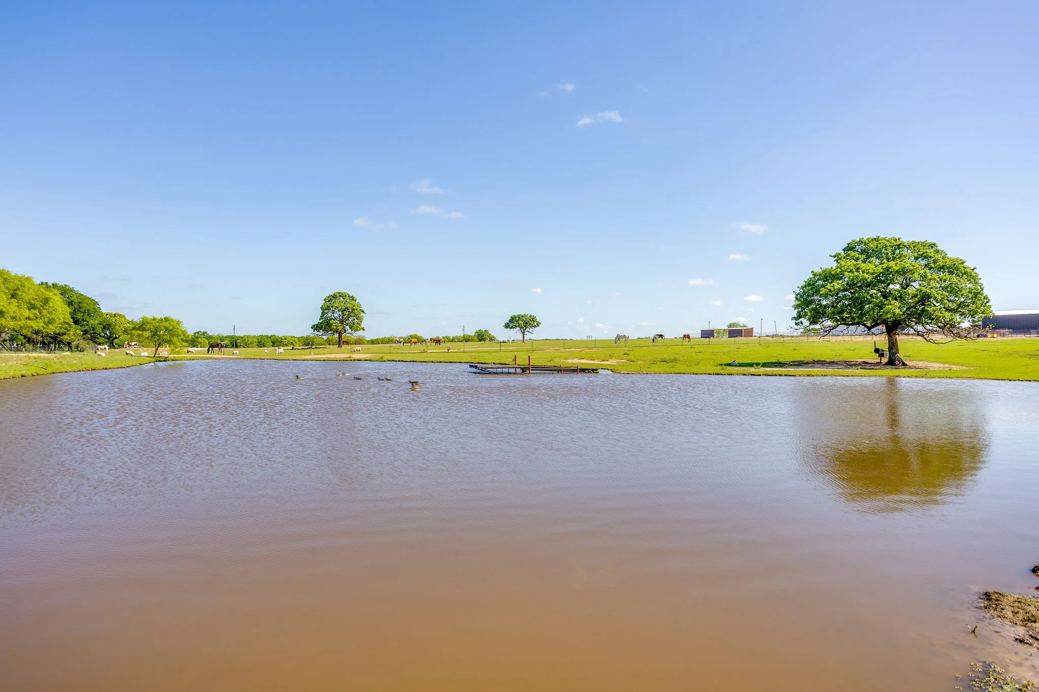 Farm For Sale in Wise County , 3678 County Road 3655, Bridgeport, Texas 76426, 5 Bedroom, 3 Bathroom, Garage spaces, 2,432 Sqft, built in 2024, Preowned, Price $1,750,000, mls#21192148, Real Estate Agent in Bridgeport, Homes For Sale in Wise county, Homes For Sale in Bridgeport, Realtor in Bridgeport Texas, Real Estate Brokerage Independent Realty Texas, Luminita Cordes Realtor