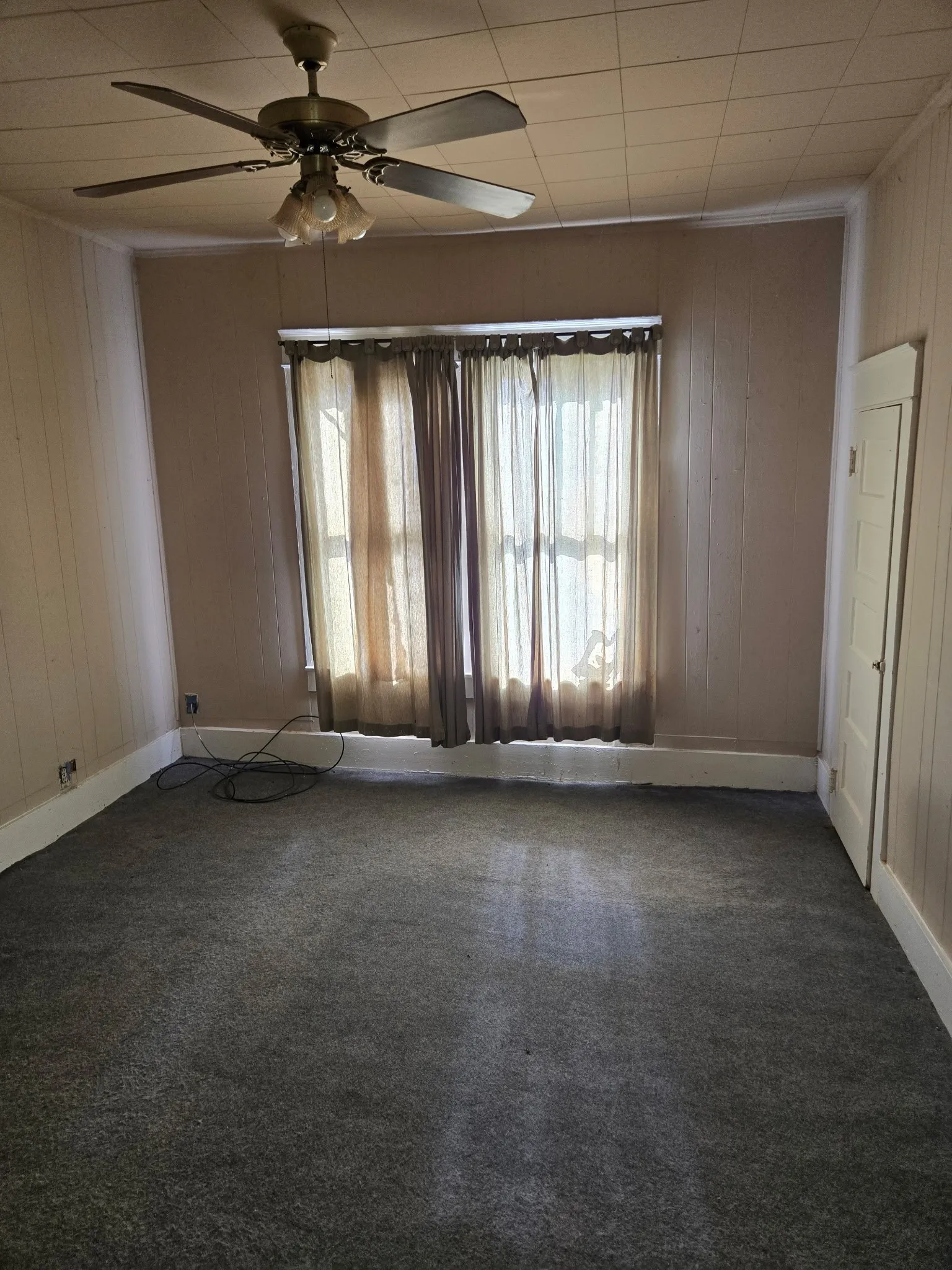 Room featuring a ceiling fan with integrated lighting, two windows with curtains, and wall-to-wall carpeting
