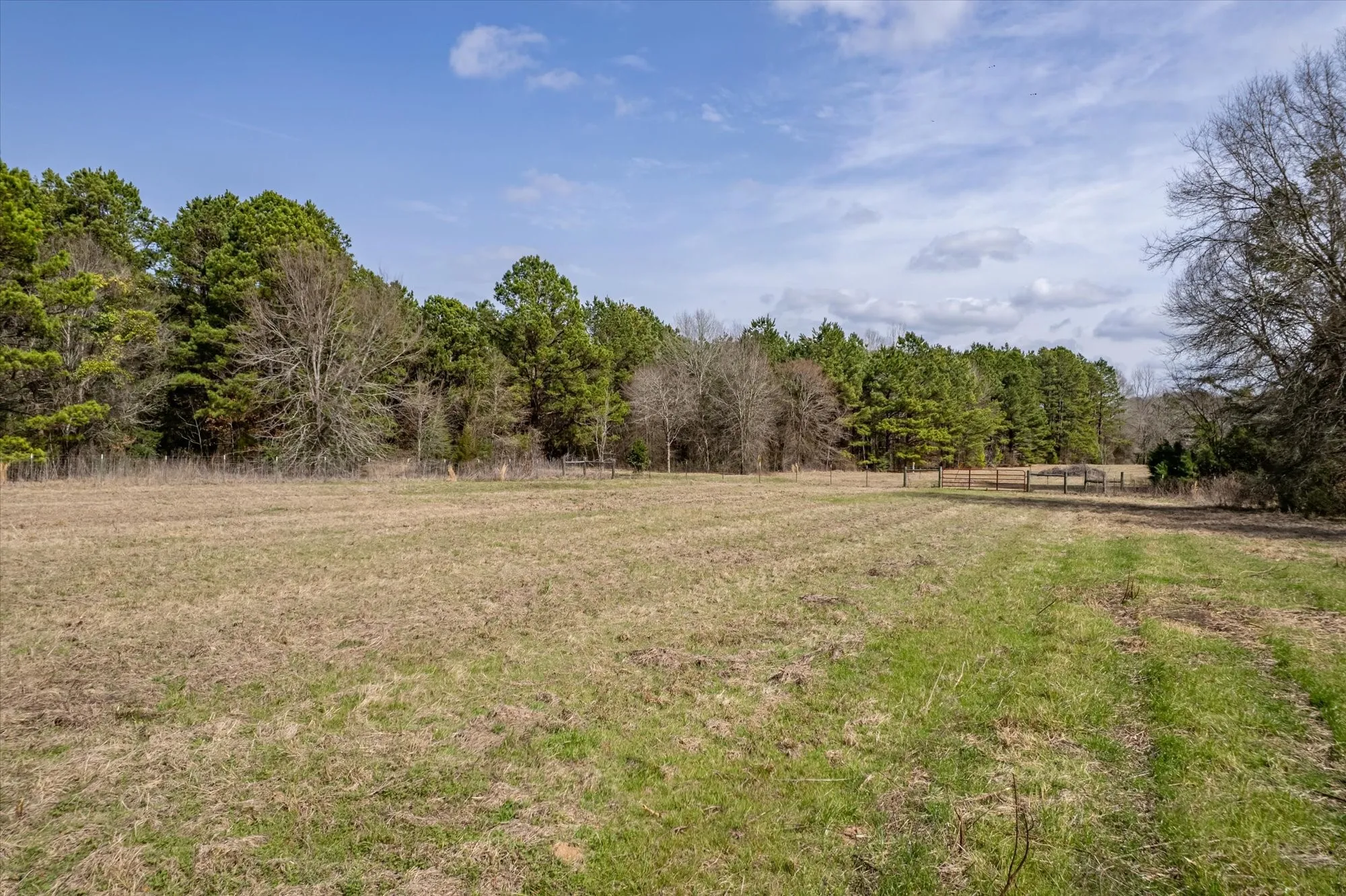 View of green lawn with a view of rural / pastoral area