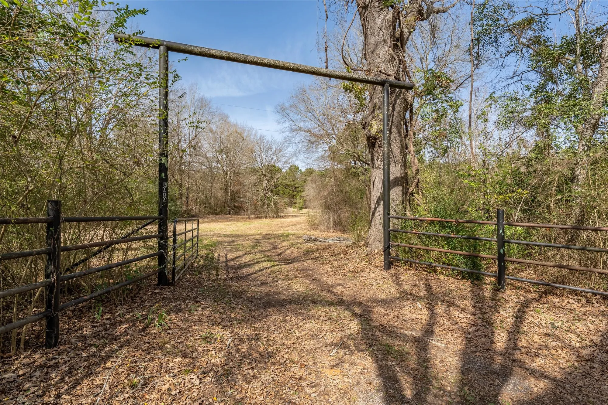 View of street with a gate
